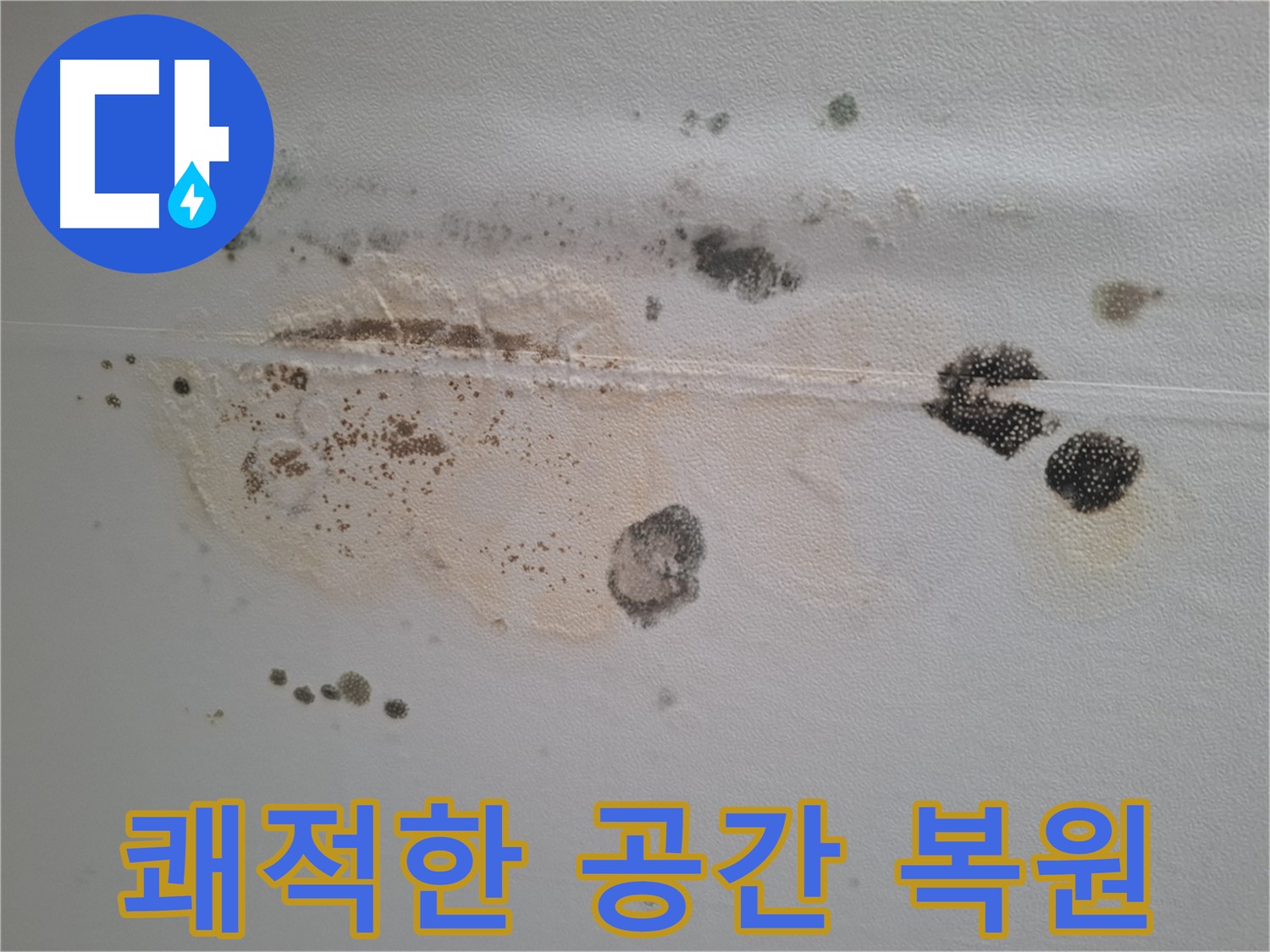 판교 봇들마을 누수 - 천장 곰팡이 제거 후 쾌적한 공간으로 복원