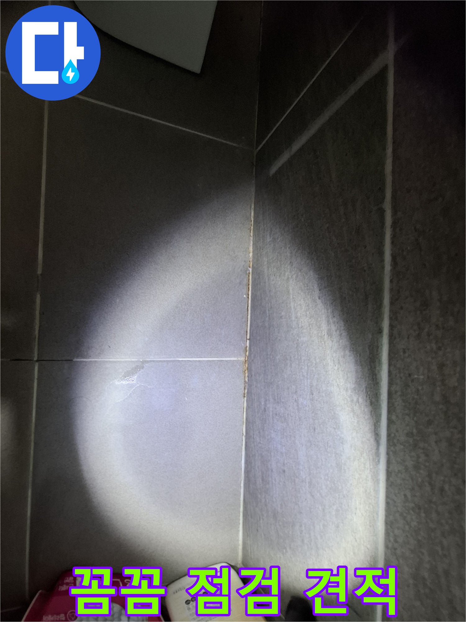 판교 봇들마을 욕실 타일 틈새 누수 - 꼼꼼한 점검, 합리적인 가격 제시