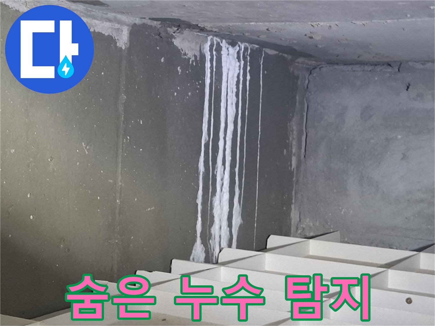판교 봇들마을2단지 아파트 누수 - 첨단 장비로 숨어있는 누수 지점 탐색