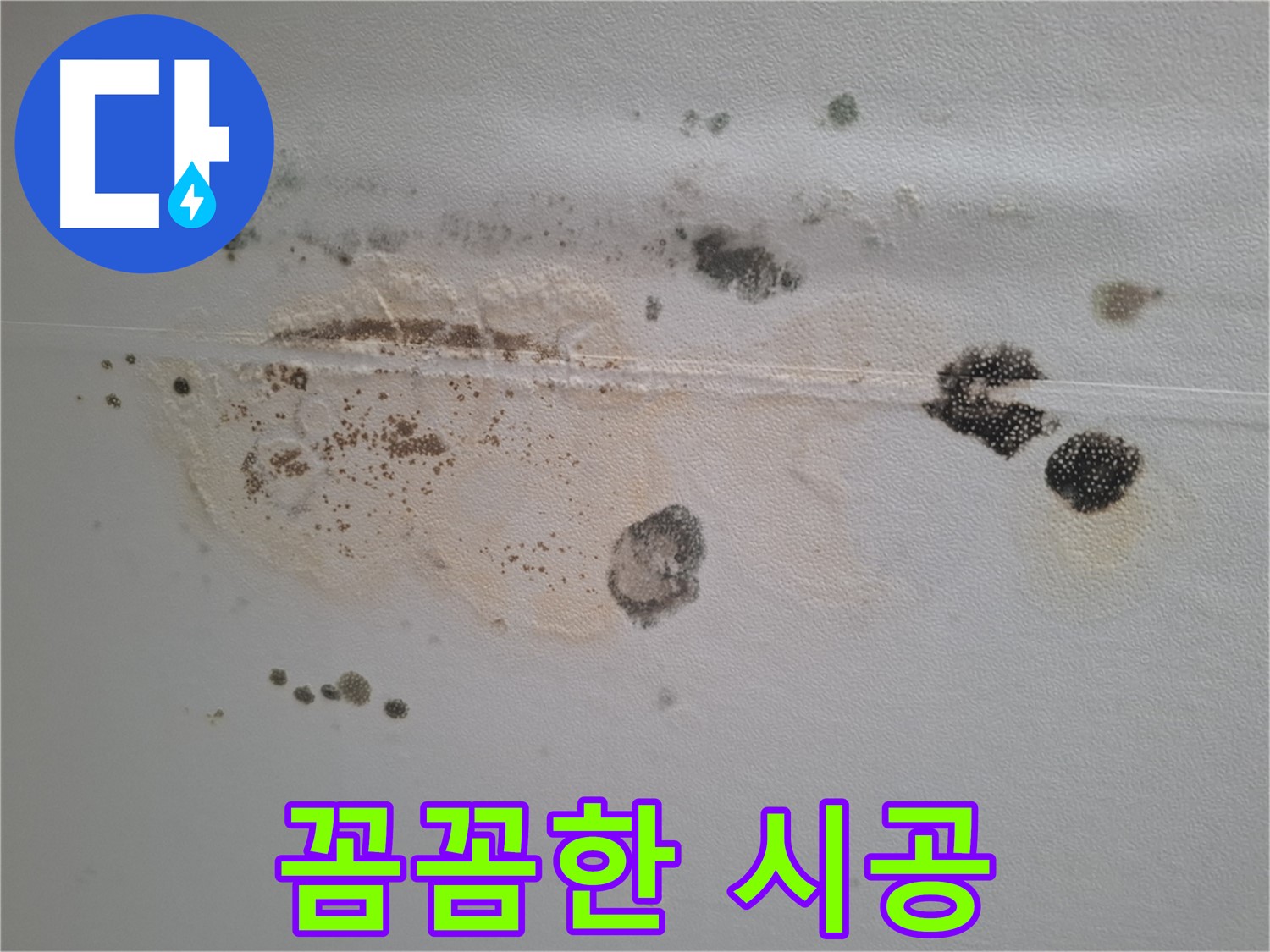 판교 삼평동 누수 - 곰팡이 핀 천장, 꼼꼼한 시공으로 완벽하게 해결
