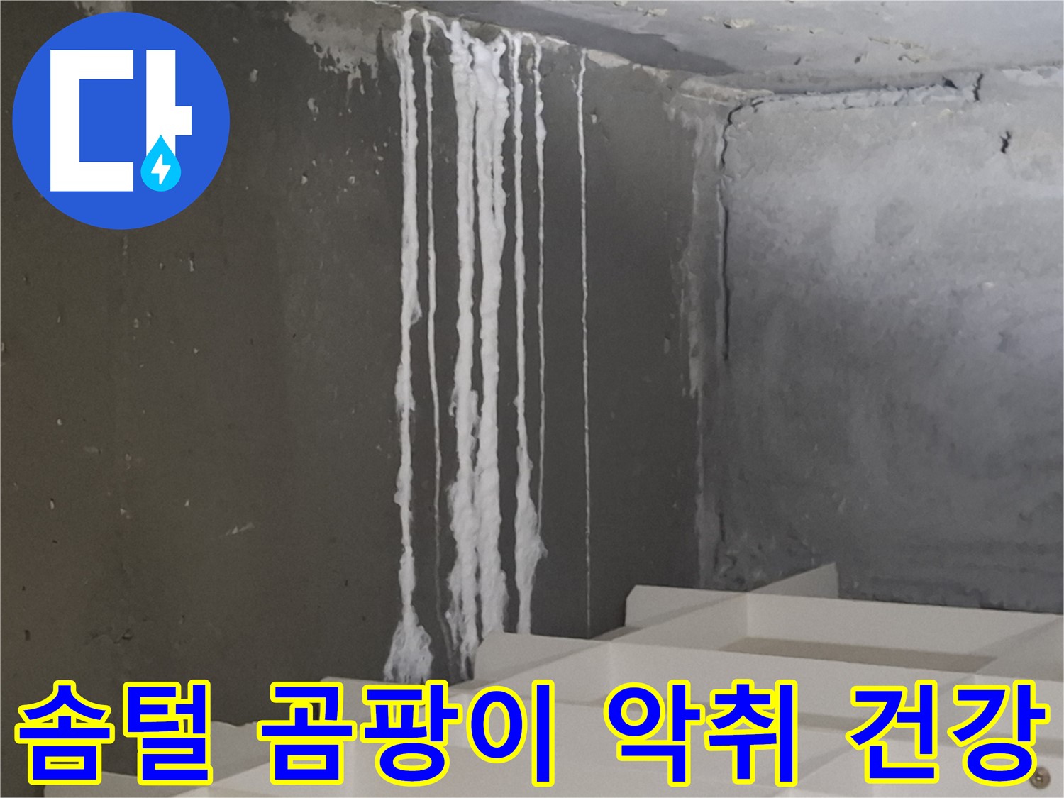 판교 삼평동 봇들마을 아파트 - 계단 '하얀 솜털' 누수는 곰팡이와 악취를 유발하고 건강을 위협합니다.