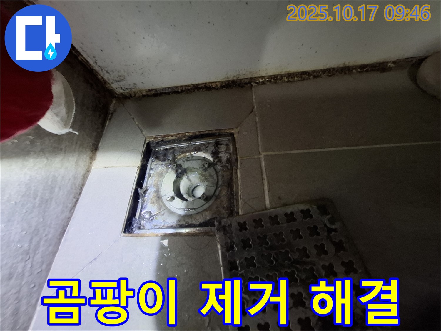 판교 삼평동 봇들마을 아파트 욕실 배수구 곰팡이 제거 - 누수 완벽 해결 - 쾌적한 욕실 환경을 만들어 드립니다.