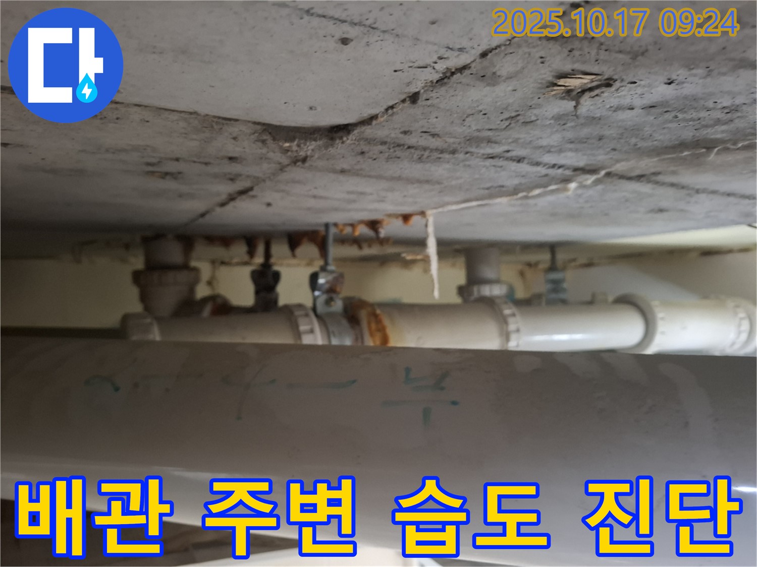 판교 삼평동 봇들마을 아파트 - 천장 배관 주변 습도 증가, 누수 가능성 정밀하게 진단