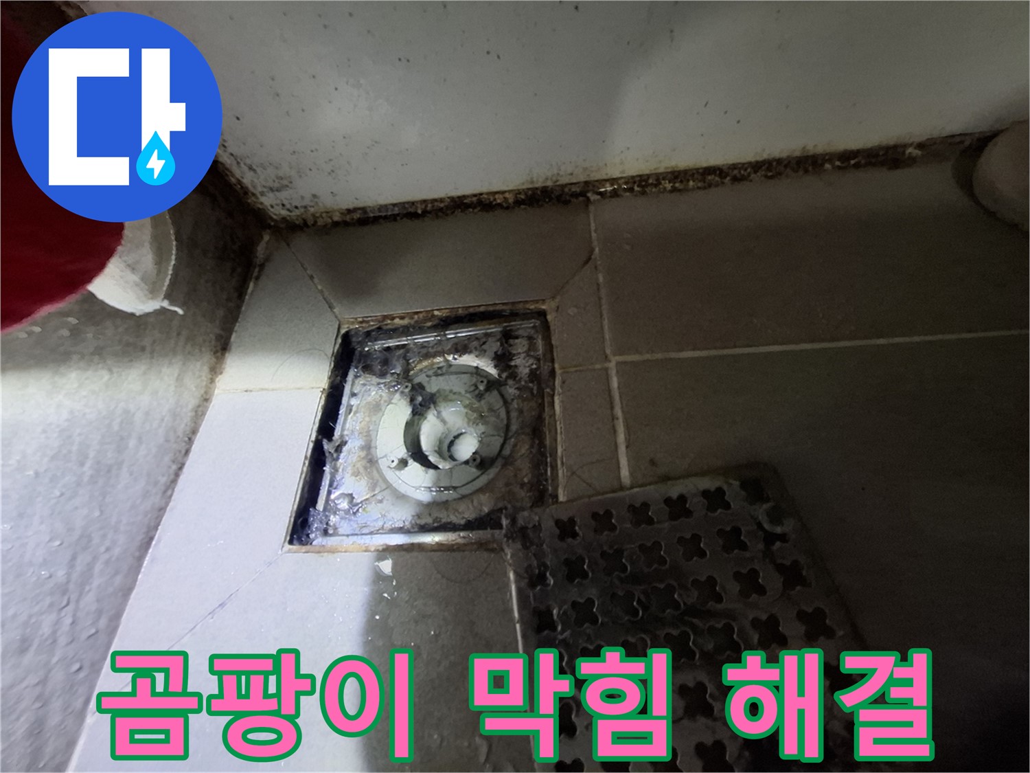 판교 삼평동 봇들마을2단지 욕실 - 곰팡이와 막힌 배수구 긴급 해결