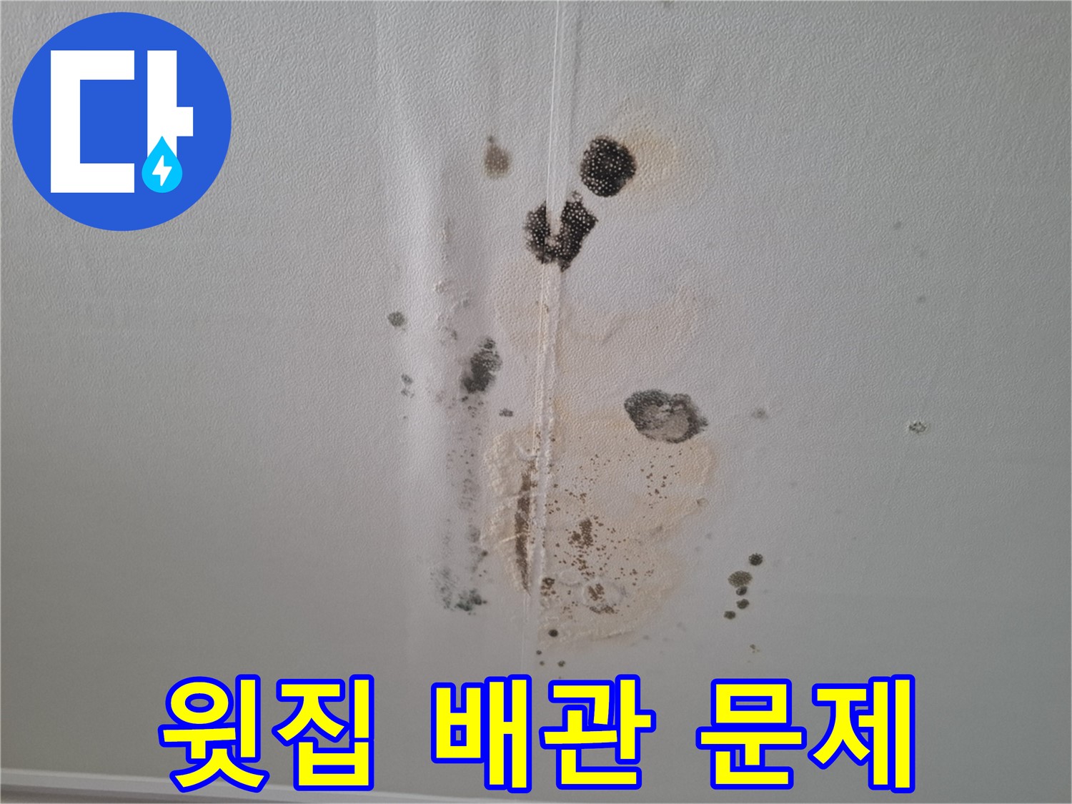 판교 아파트 누수 - 윗집 배관 문제로 인한 누수 가능성 점검