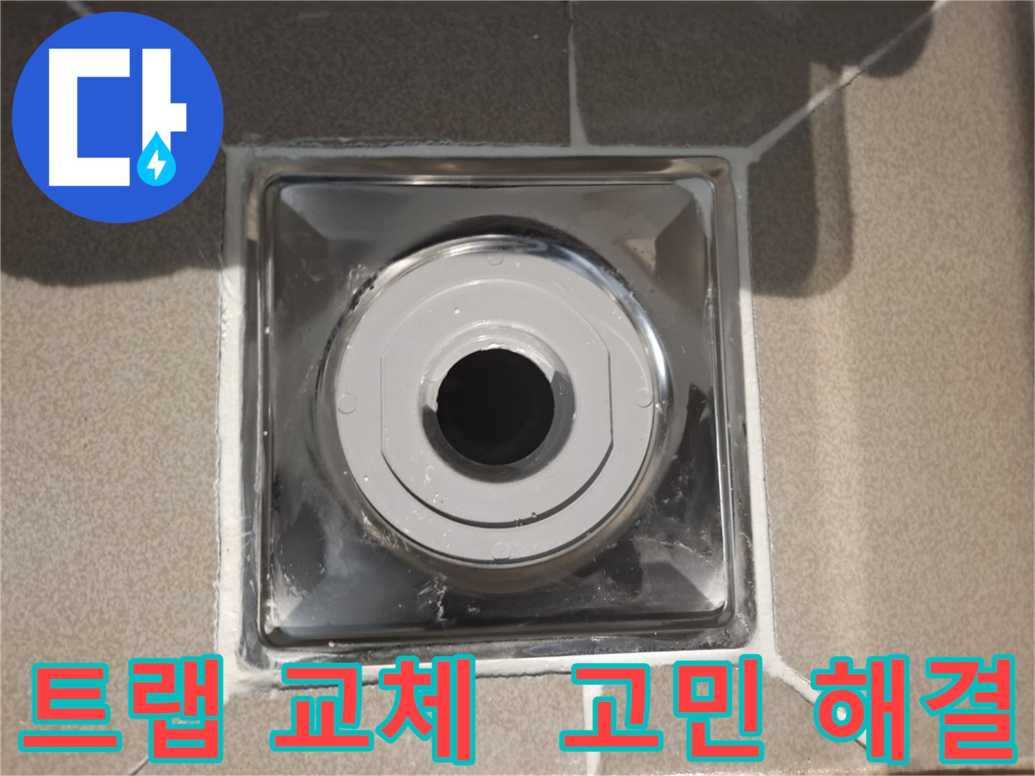 분당 봇들마을 - 낡은 트랩에서 새 트랩으로 교체!