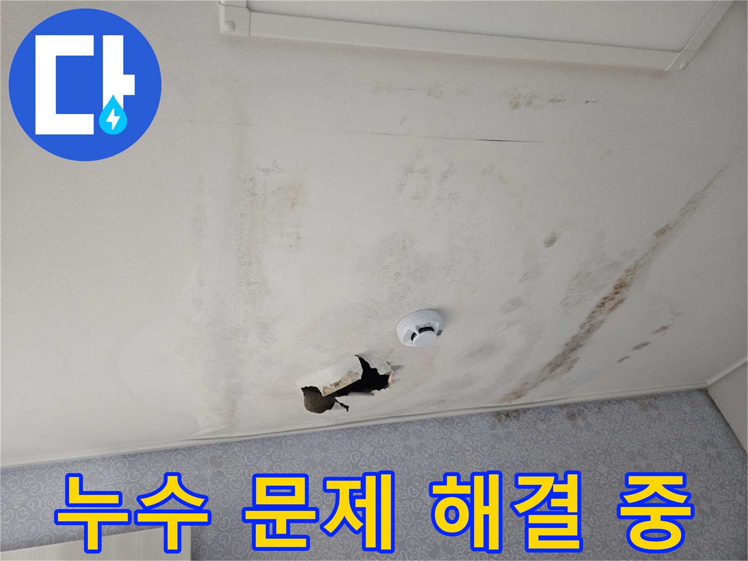 강동구 천중로 아파트 천장 누수 - 누수 문제를 해결하기 위해 최선을 다하는 전문가의 모습 - 고객님의 만족을 위해 항상 노력합니다