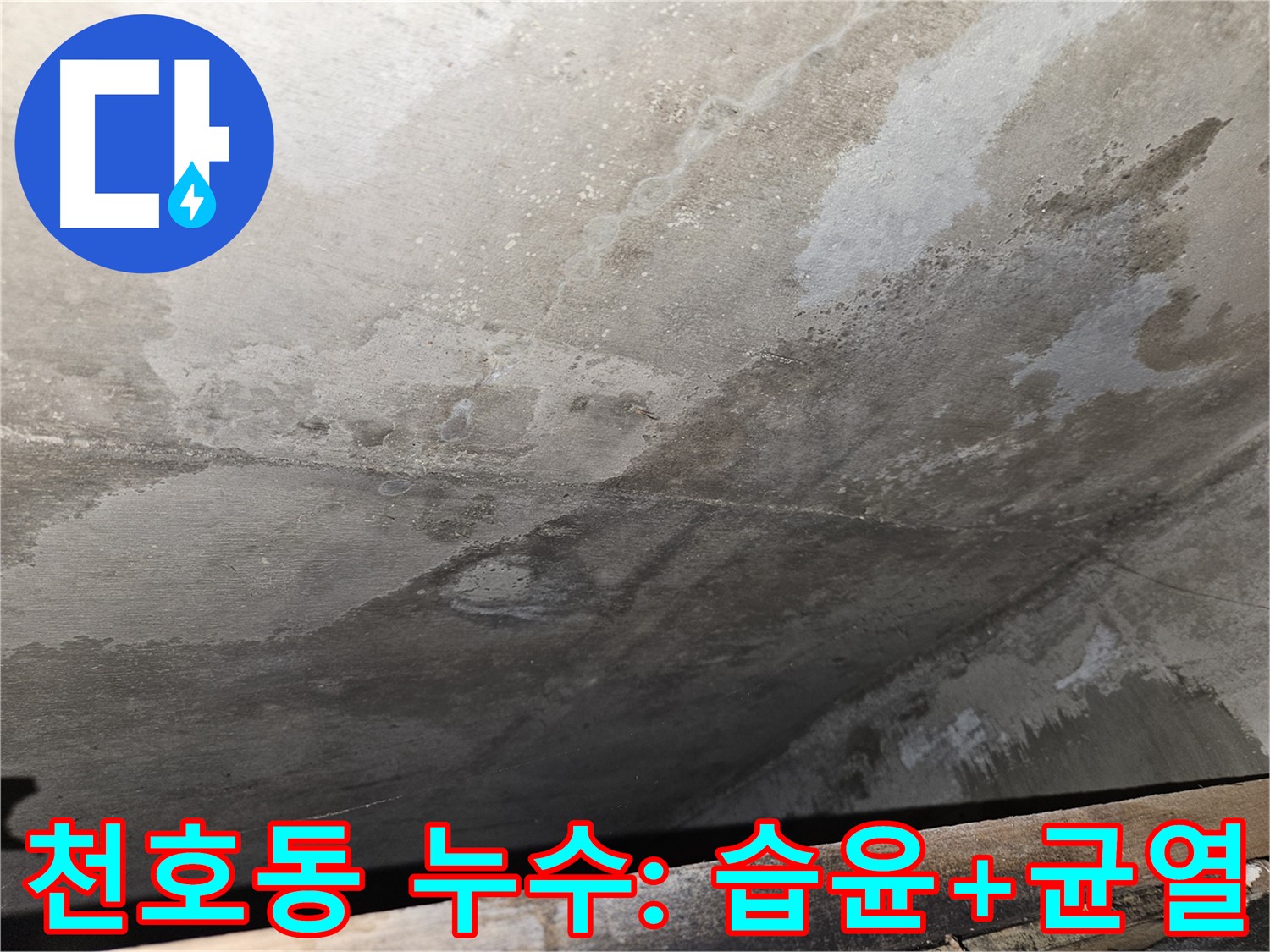 강동구 천호동 누수탐지 - 습윤, 균열 현미경 확인은 누수 초기