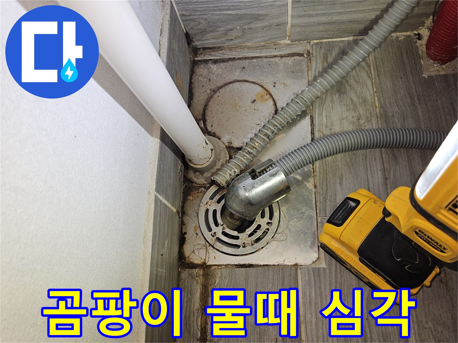 세탁실 배수구 주변 곰팡이와 물때 - 청소 및 점검 필요