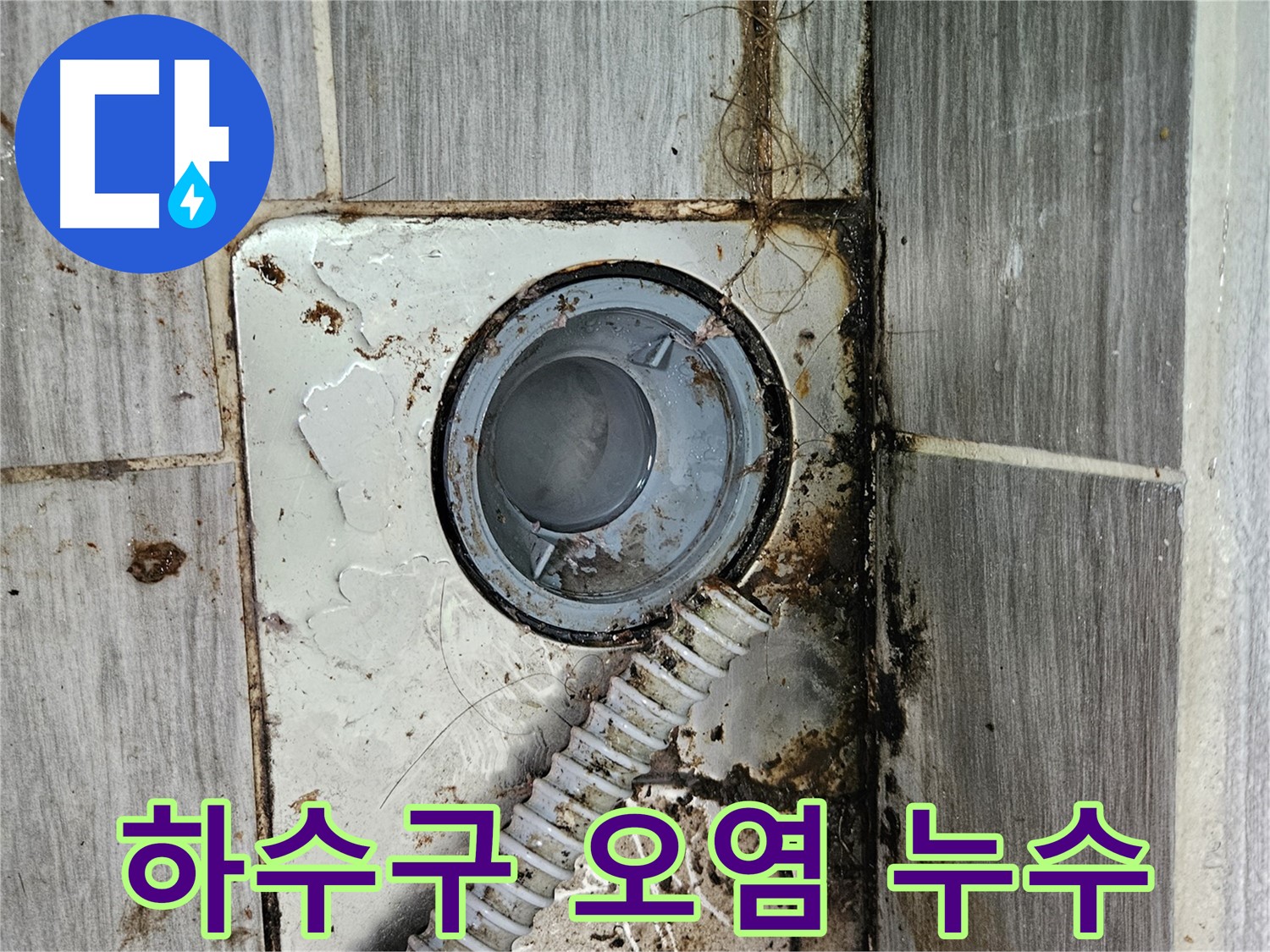 오염된 하수구 주변 - 오염과 함께 누수 발생 가능성