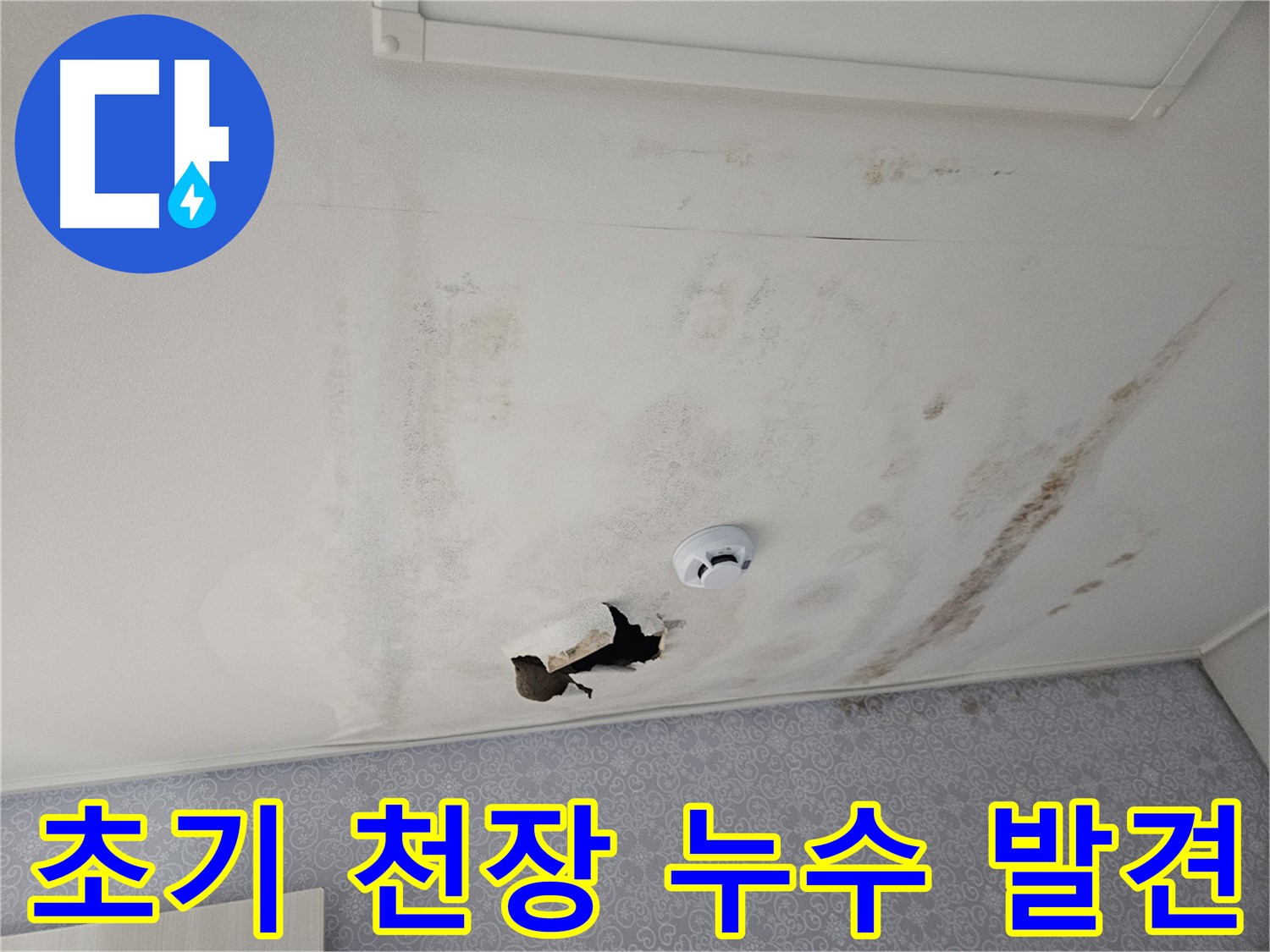 천호동 강동리버스타운 아파트 천장 누수 - 초기 누수 발견의 중요성 - 작은 흔적도 놓치지 않고 꼼꼼하게 점검합니다