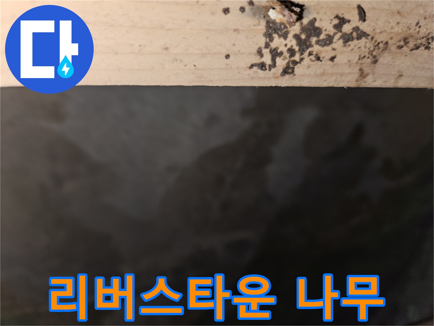 천호동 리버스타운 누수 - 나무 상태 점검 - 첨단 장비 사용