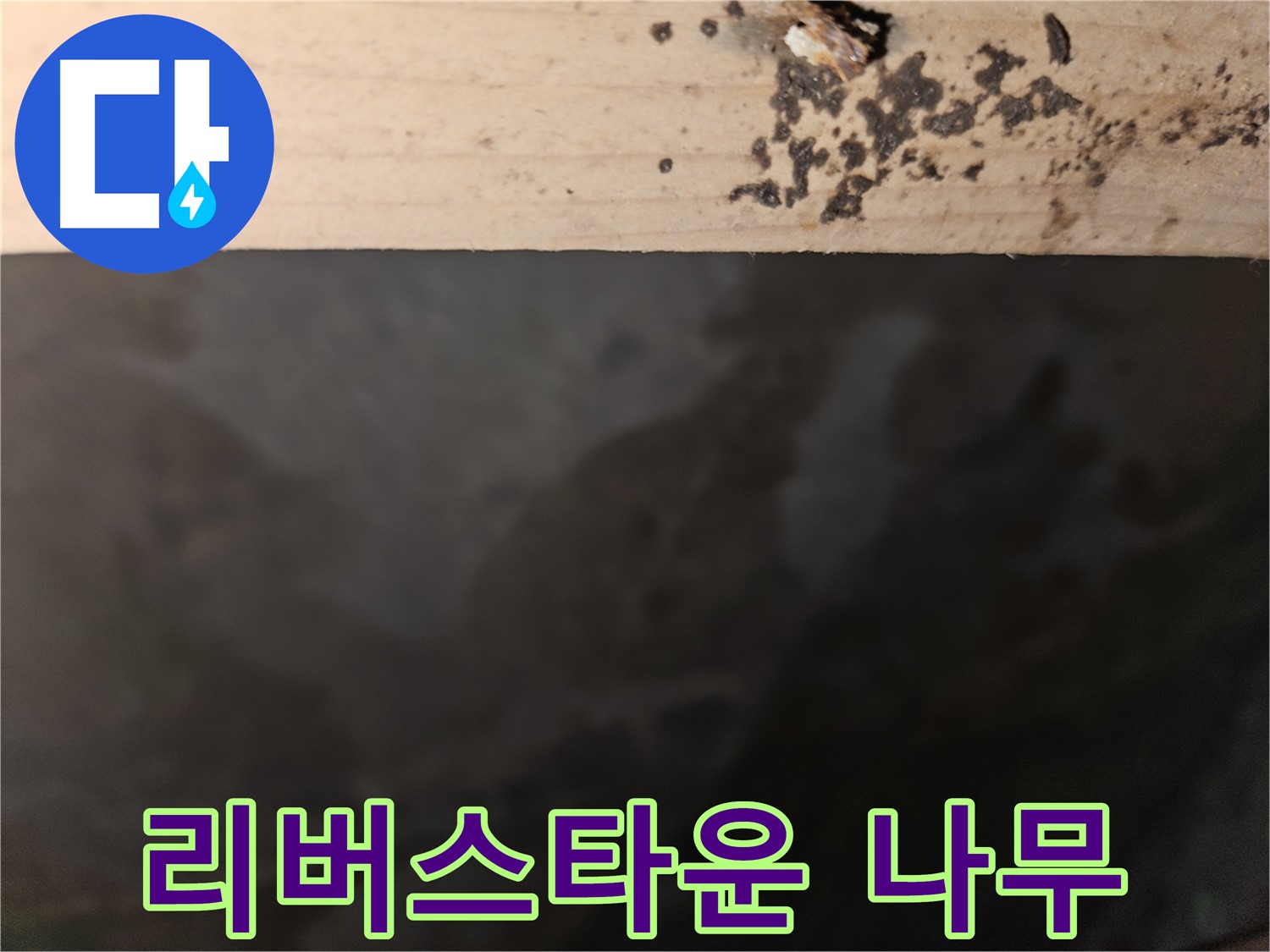 천호동 리버스타운 누수 - 나무 윗면 점검 - 첨단