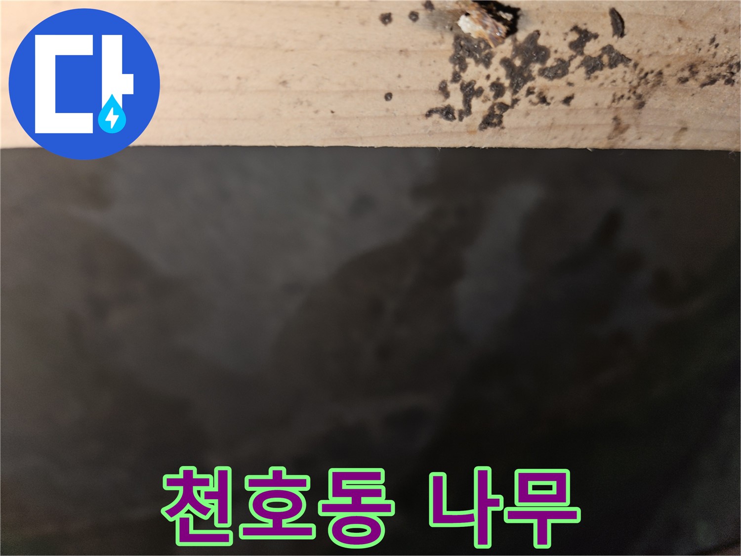 천호동 아파트 누수 - 나무 겉면 반점 차단 - 최고