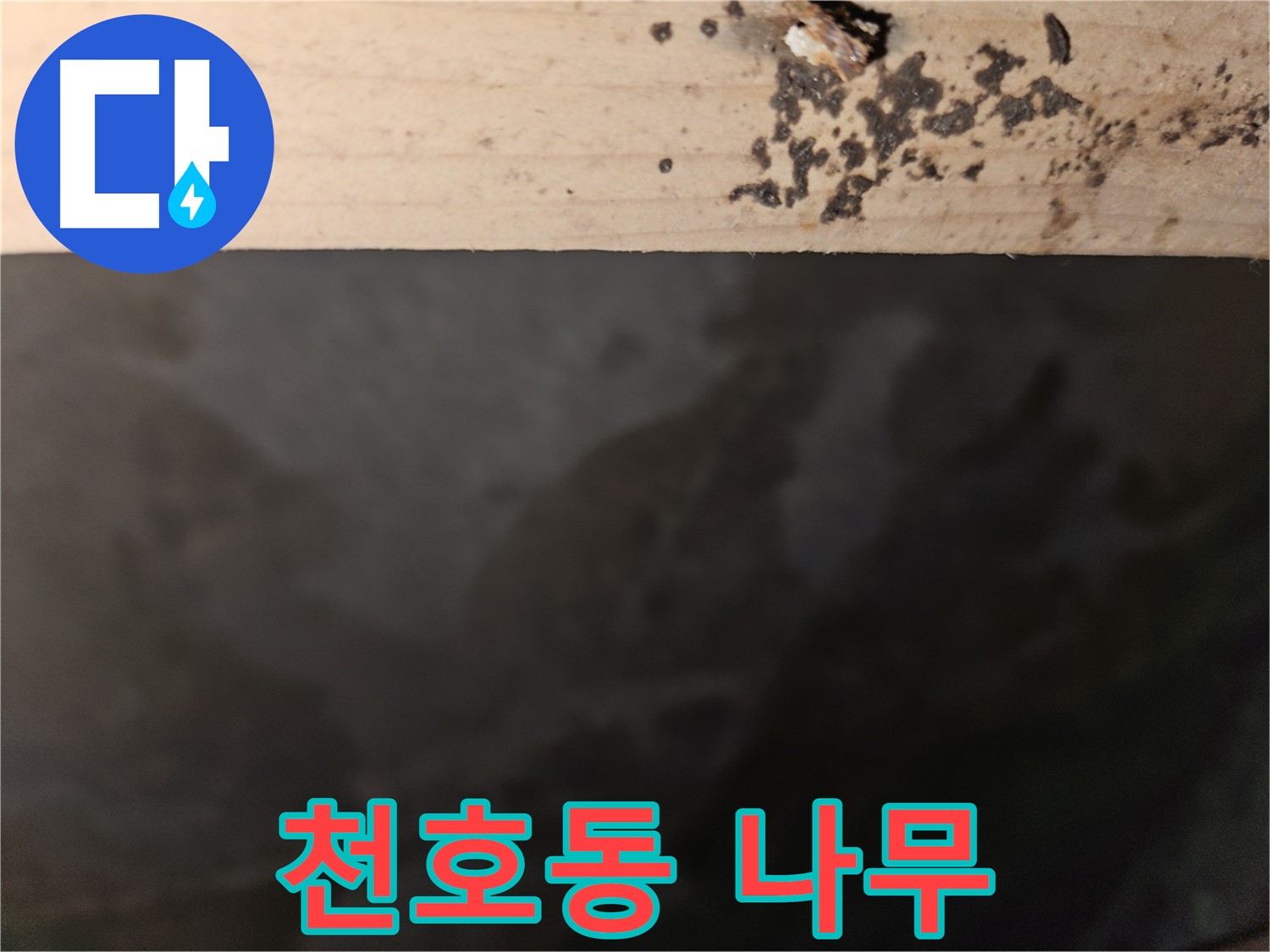 천호동 아파트 누수 - 나무 내부 검은 점 - 빠른 조치
