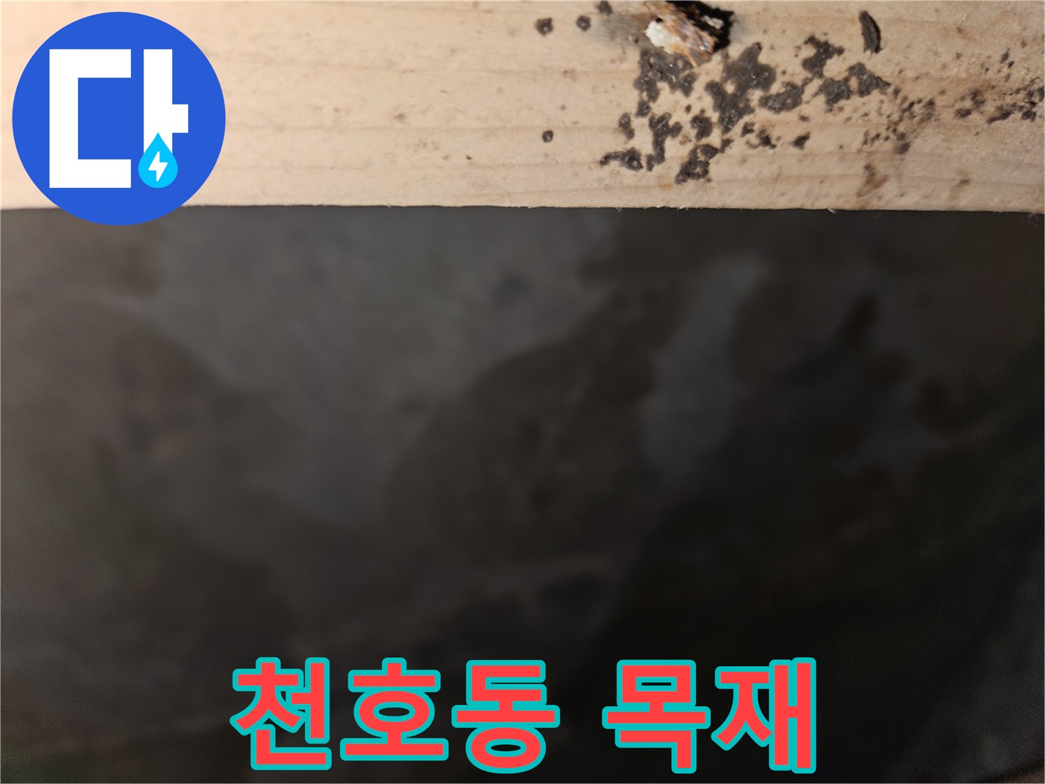 천호동 아파트 누수 - 목재 썩음 차단 - 최고의 기술