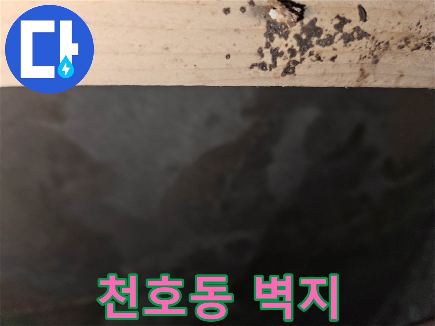 천호동 아파트 누수 - 벽지 곰팡이 - 빠른 조치