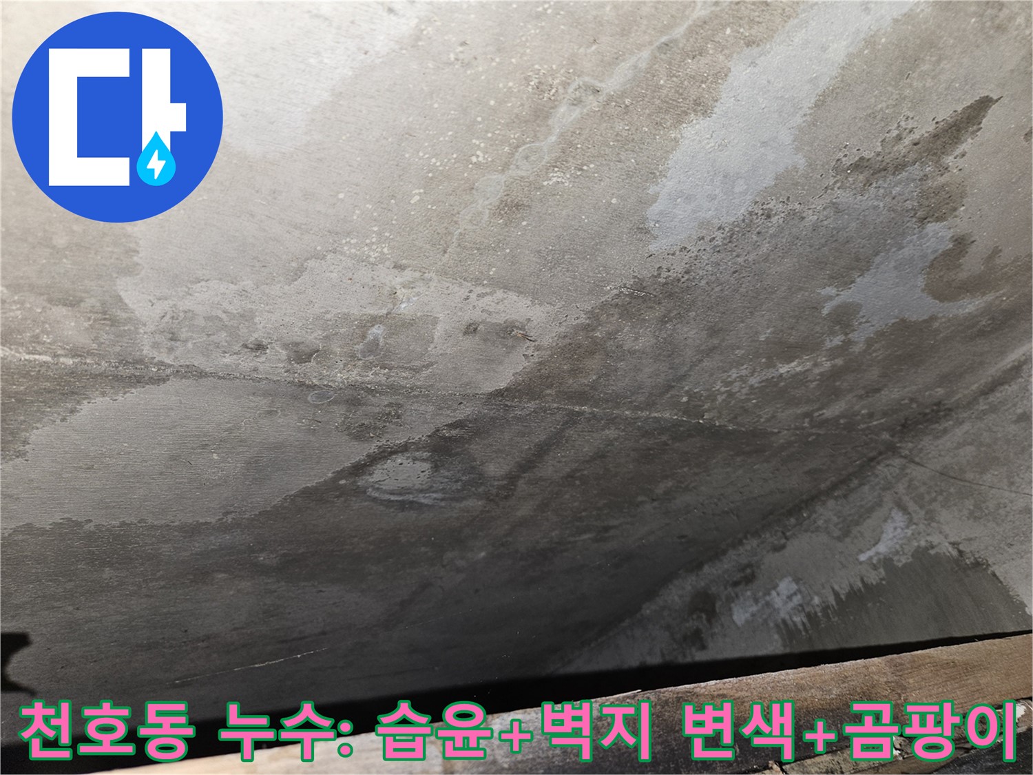 천호동 아파트 누수 - 습윤, 벽지 변색, 곰팡이는 부실 공사 의심