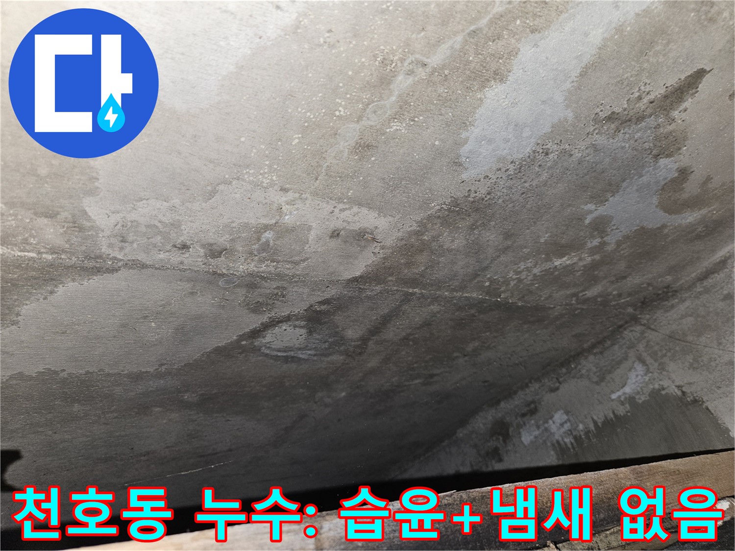 천호동 아파트 누수 - 습윤과 곰팡이 냄새 거의 없음은 누수 의심