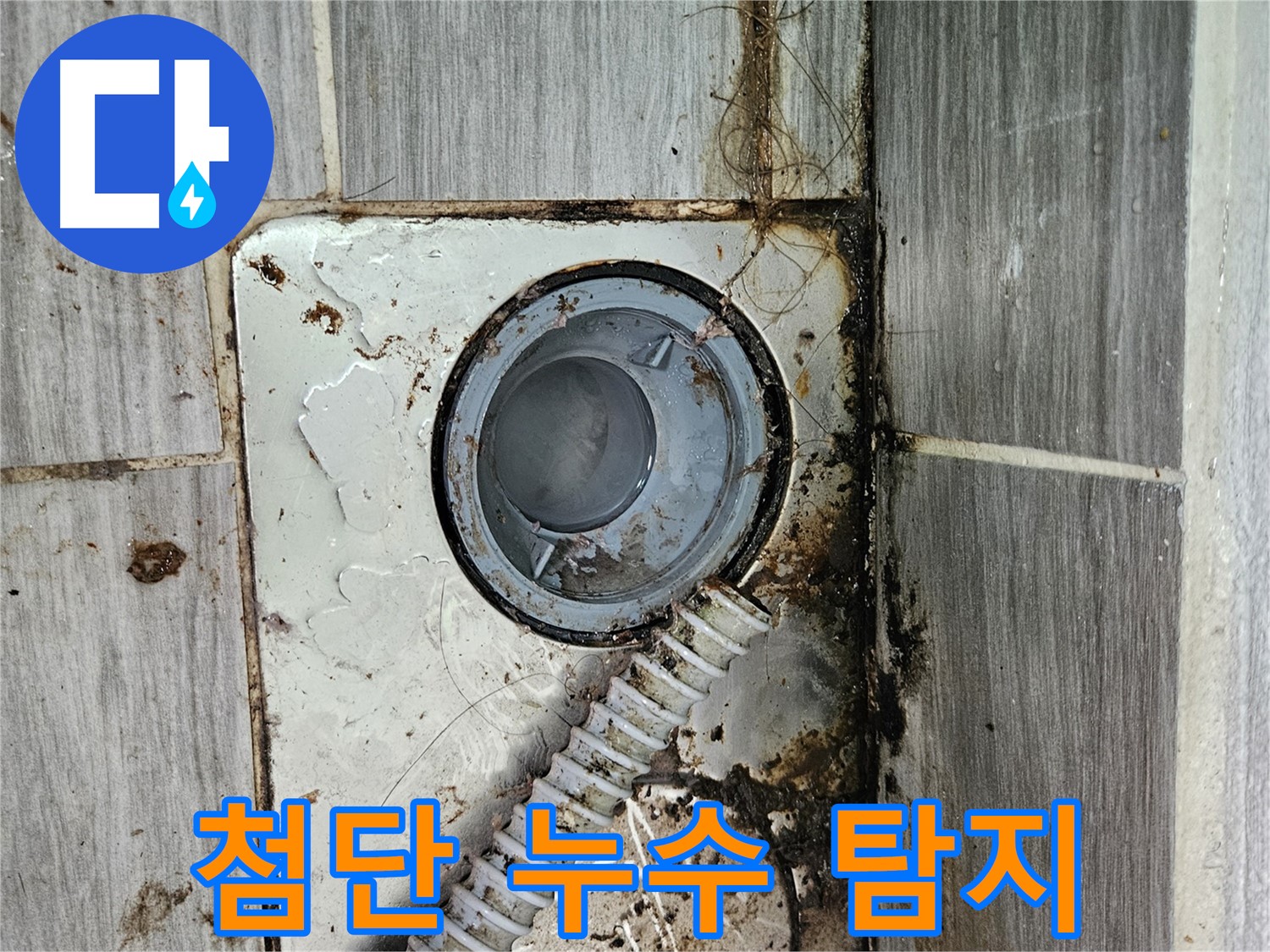 최첨단 누수 탐지 장비 - 정확한 누수 지점 파악