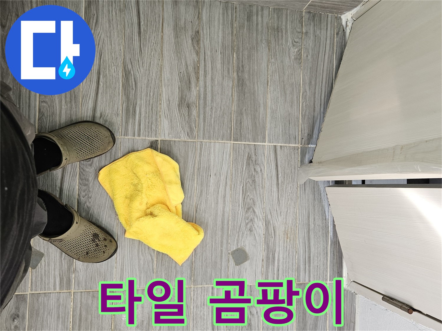 타일 사이에 핀 검은 곰팡이 - 누수로 인해 습기가 많아 곰팡이가 발생했습니다.