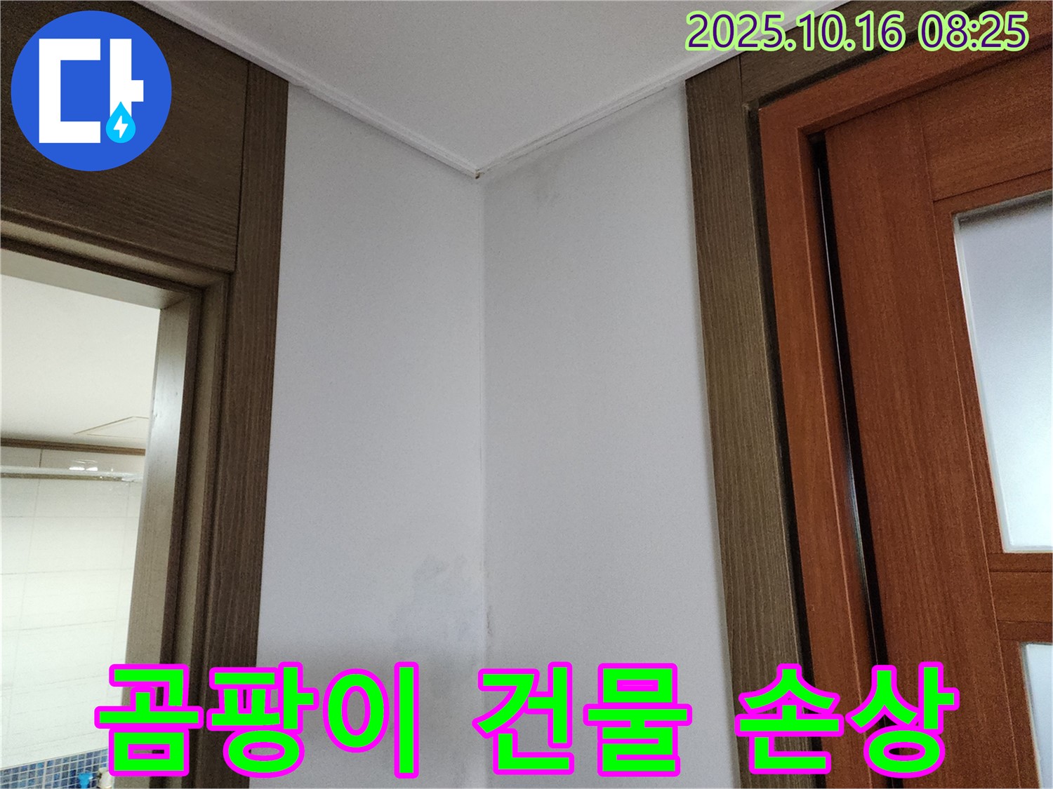 곰팡이 - 건물 손상 - 누수 방치 금지 - 즉시 점검 - 늦기 전에 - 신속하게