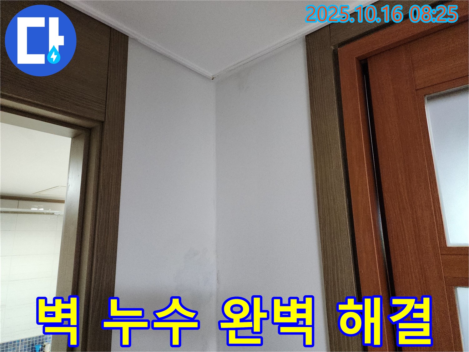 벽 누수 완벽 해결 - 누수 전문가의 꼼꼼한 시공