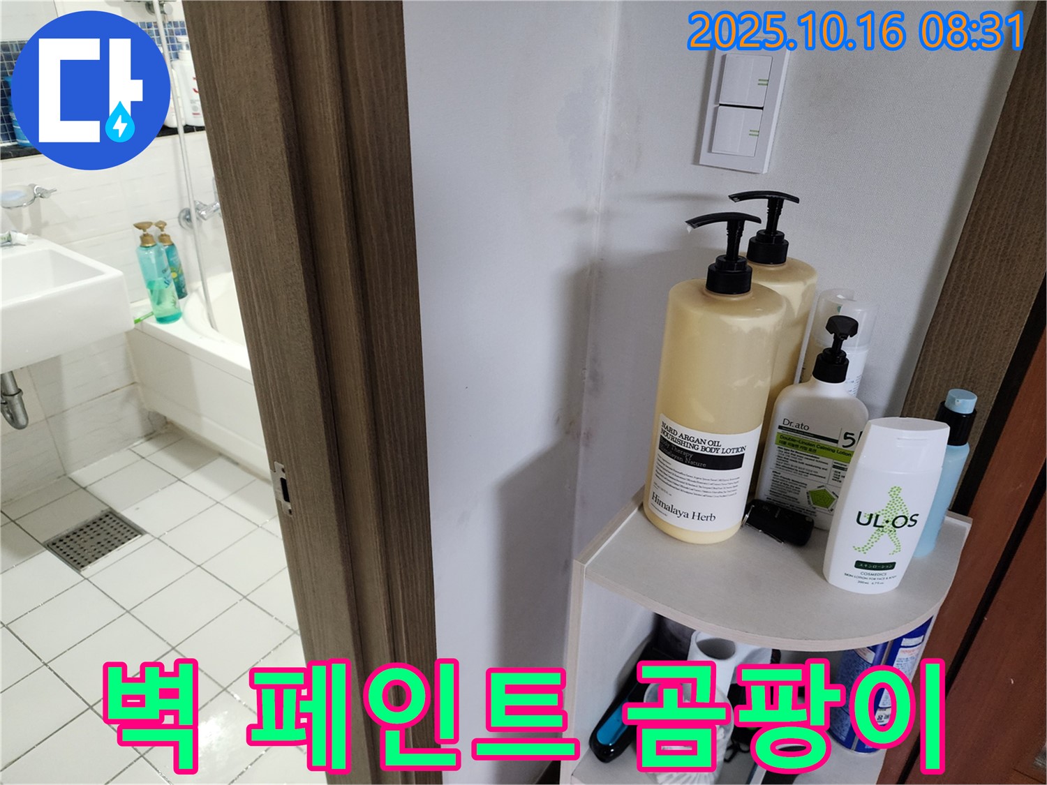 양주 경신리 욕실 누수 - 벽지 울음과 페인트 벗겨짐, 심한 곰팡이, 젖은 벽, 물 떨어짐, 최악의 누수