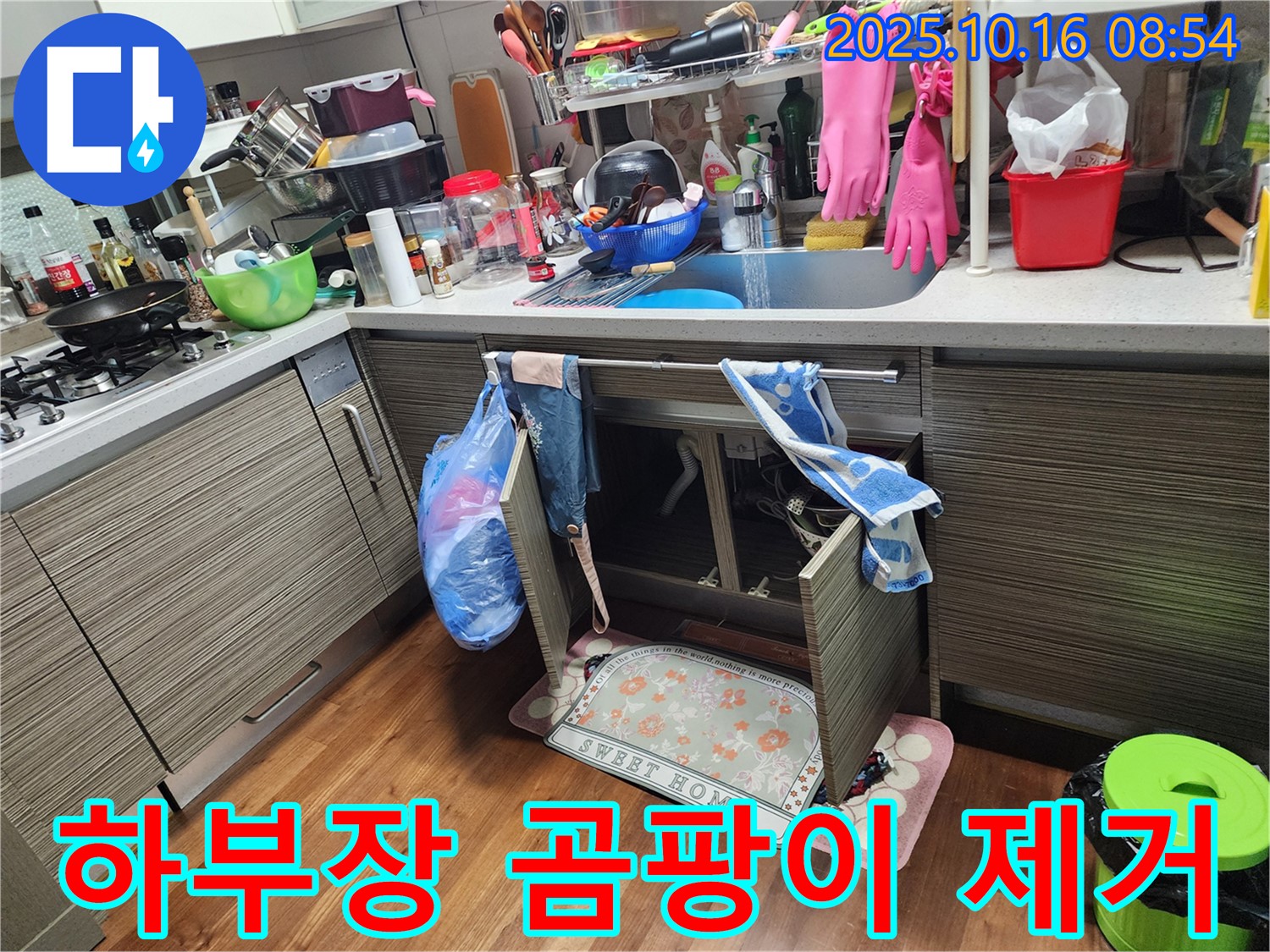 양주 남면 경신리 누수 - 싱크대 하부장에 핀 곰팡이, 어떻게 제거해야 깨끗하게 없앨 수 있을까요?