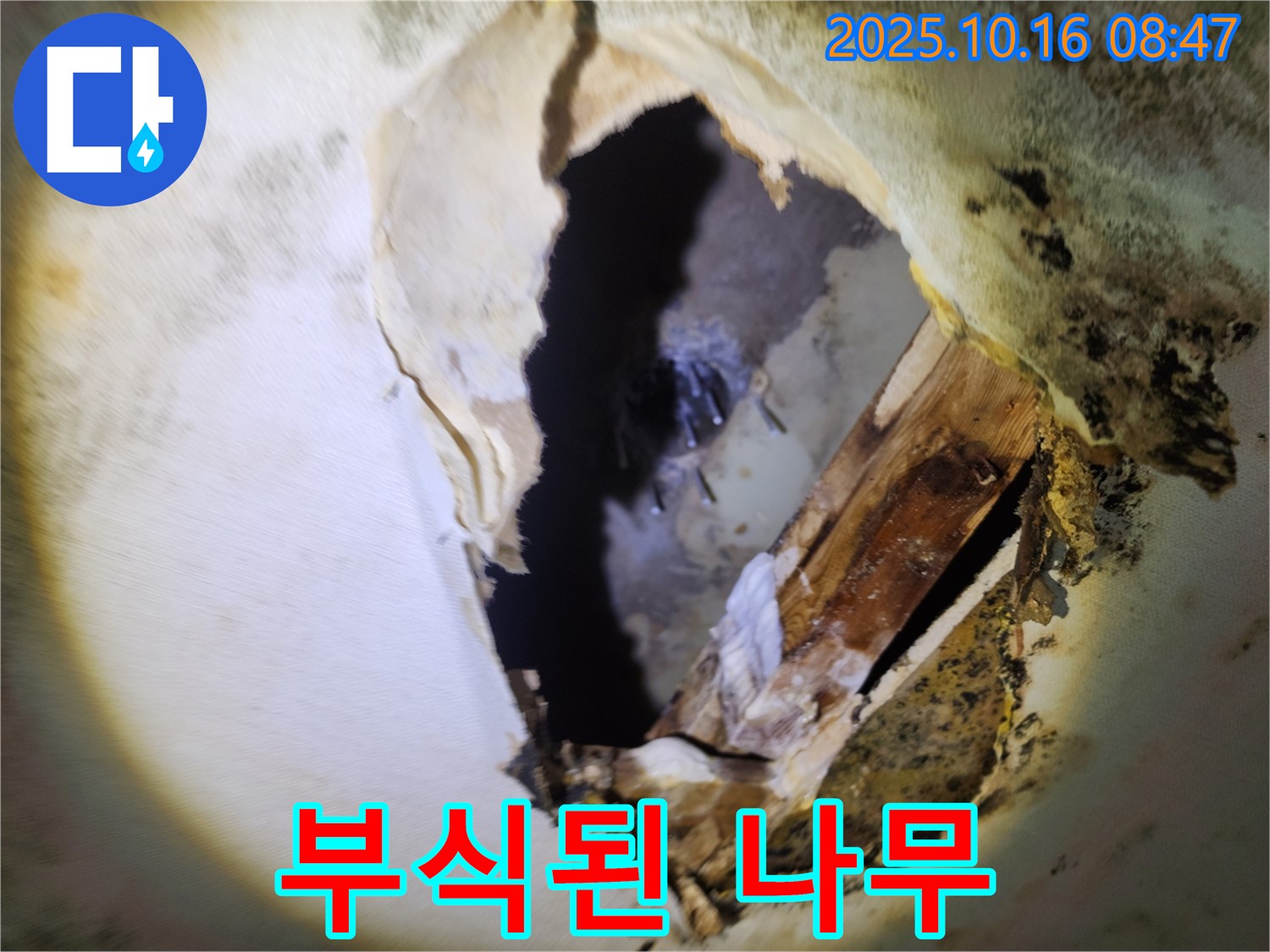 양주 남면 경신리 누수 - 천장 속 곰팡이와 부식된 나무 - 건물 안전에 비상, 긴급 점검 및 완벽 보수를 약속드립니다.