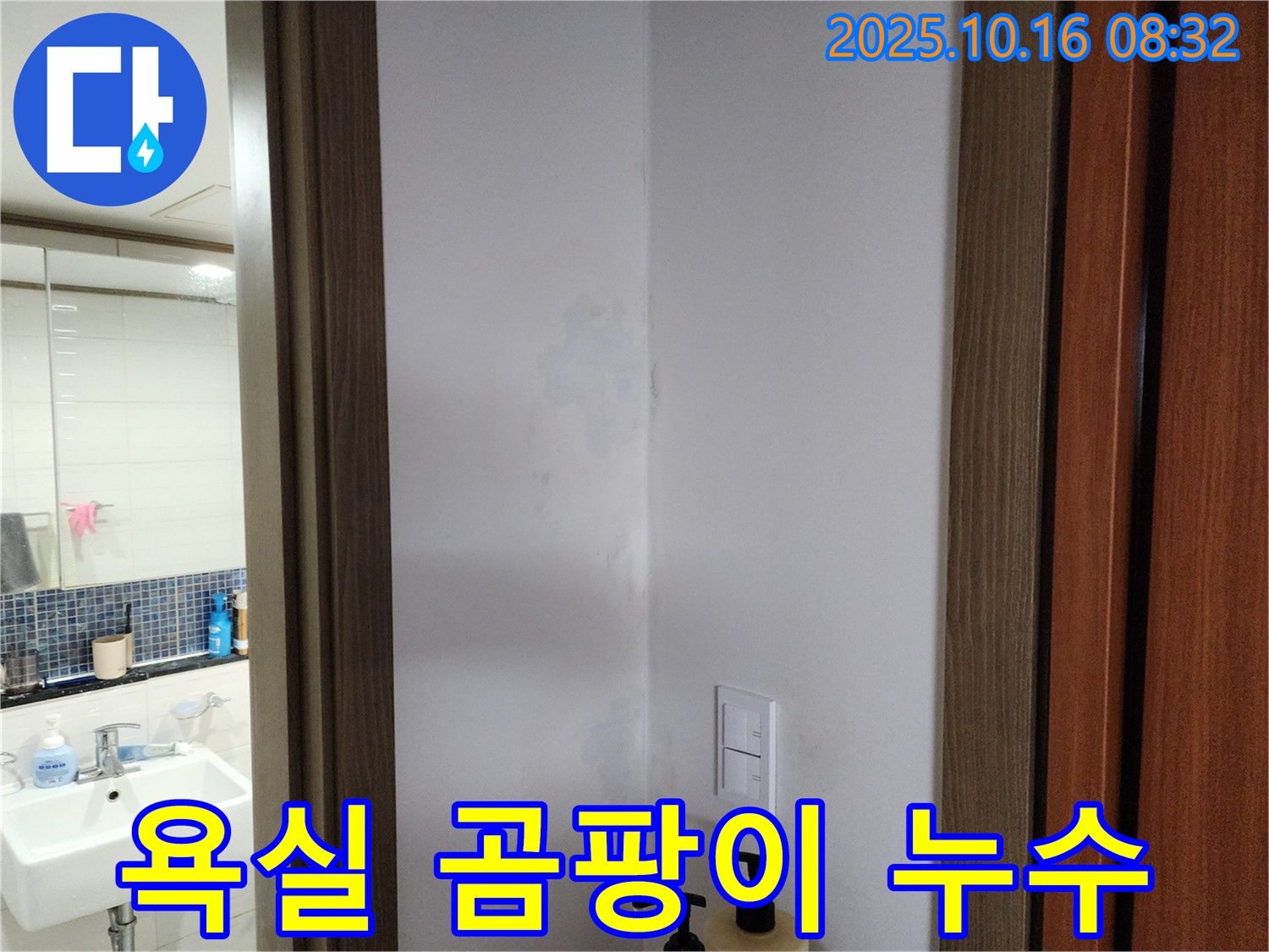 양주시 남면 경신리 욕실 곰팡이 - 숨겨진 누수 의심