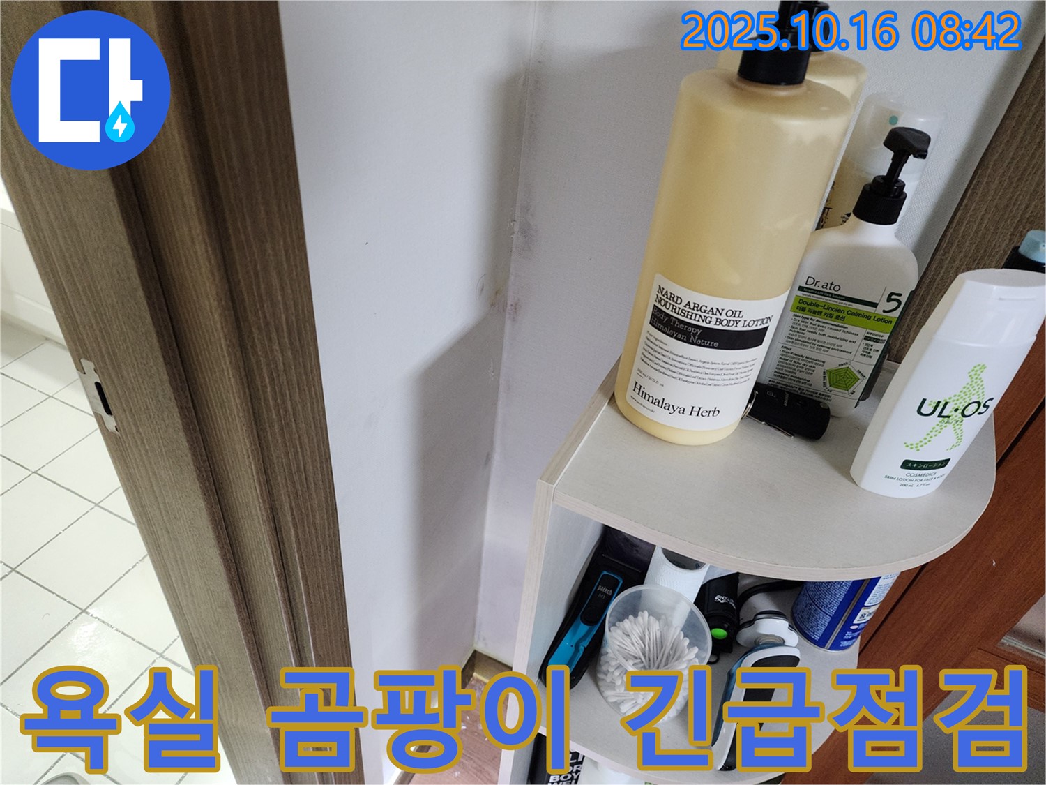 양주시 남면 경신리 욕실 벽면 초기 곰팡이 - 긴급 누수 점검으로 문제 확산 방지