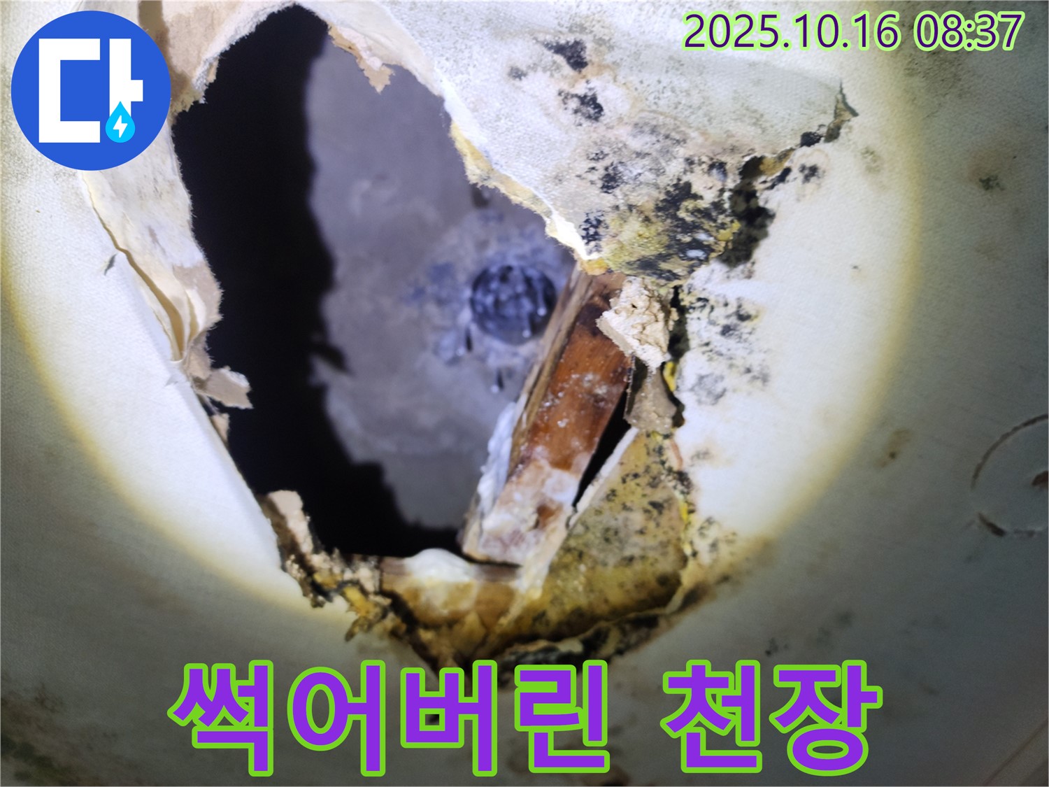 양주시 남면 경신리 주택 - 썩어버린 천장 - 누수 문제의 심각한 결과를 보여줍니다.