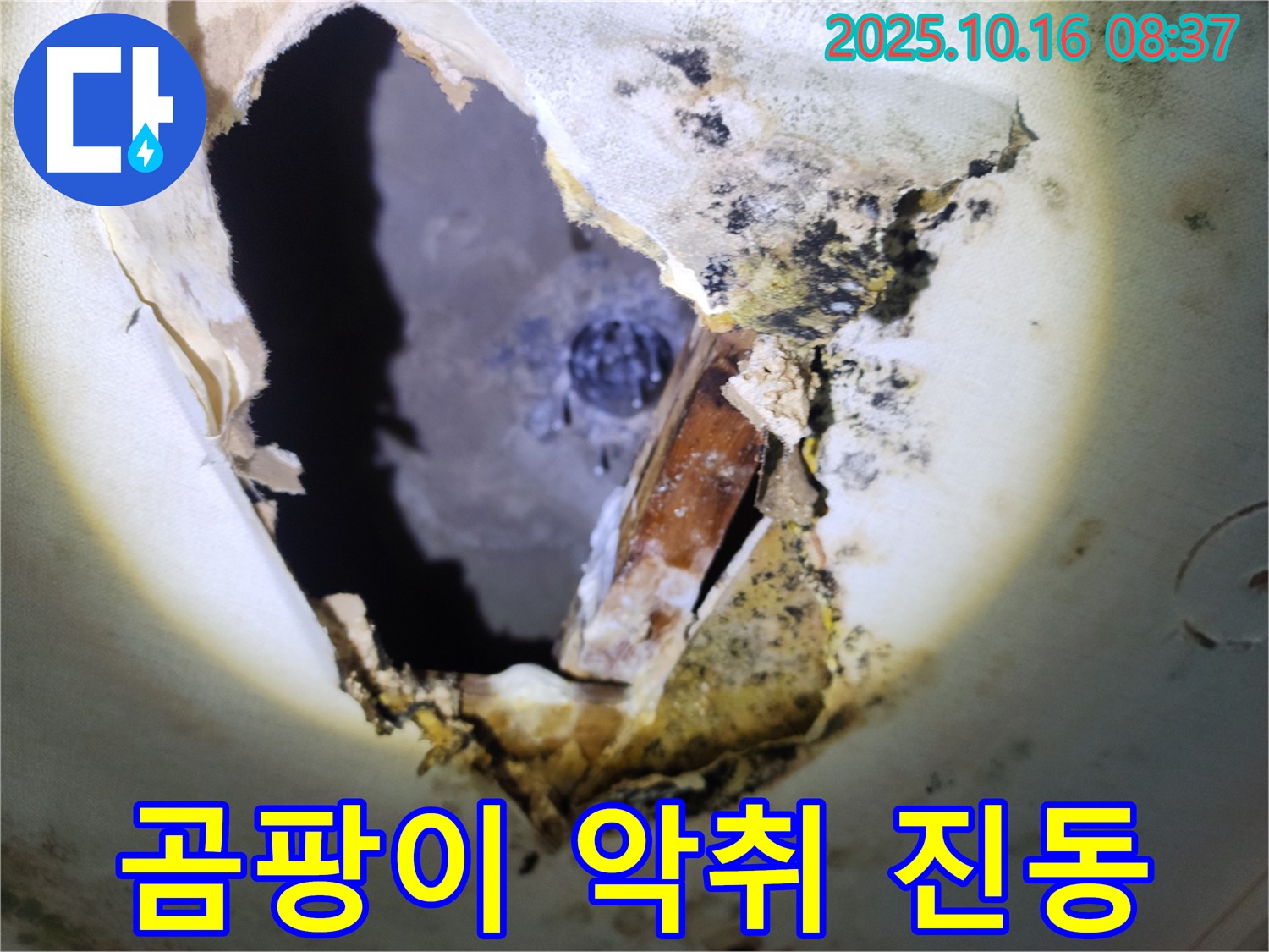 양주시 남면 경신리 주택 천장 속 - 곰팡이와 악취가 진동하는 천장 속 - 쾌적한 환경을 위해 해결이 필요합니다.