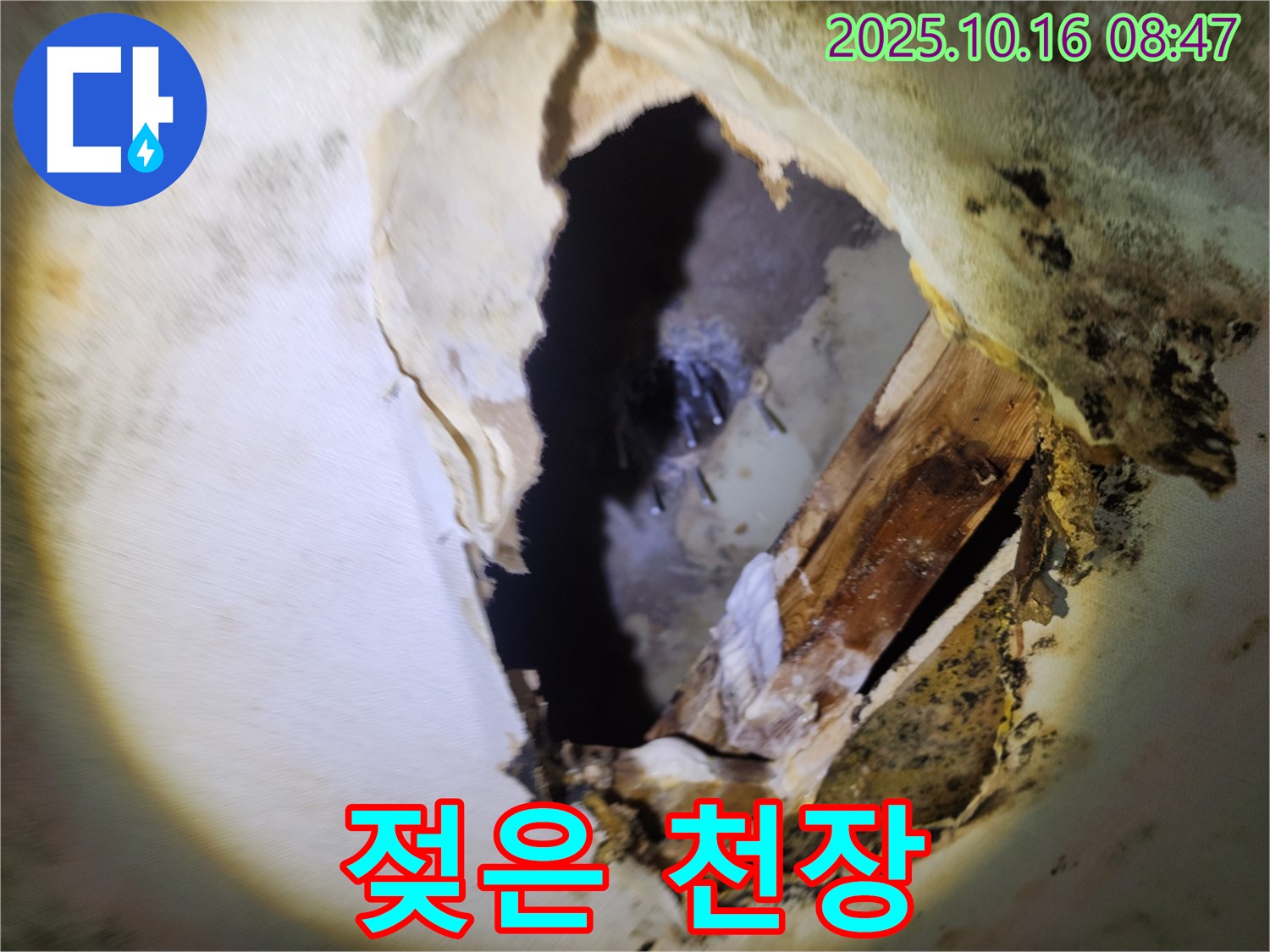 양주시 누수탐지 - 곰팡이 냄새와 젖은 천장 - 숨겨진 누수를 의심하고 정밀 검사 및 완벽 보수를 약속드립니다.