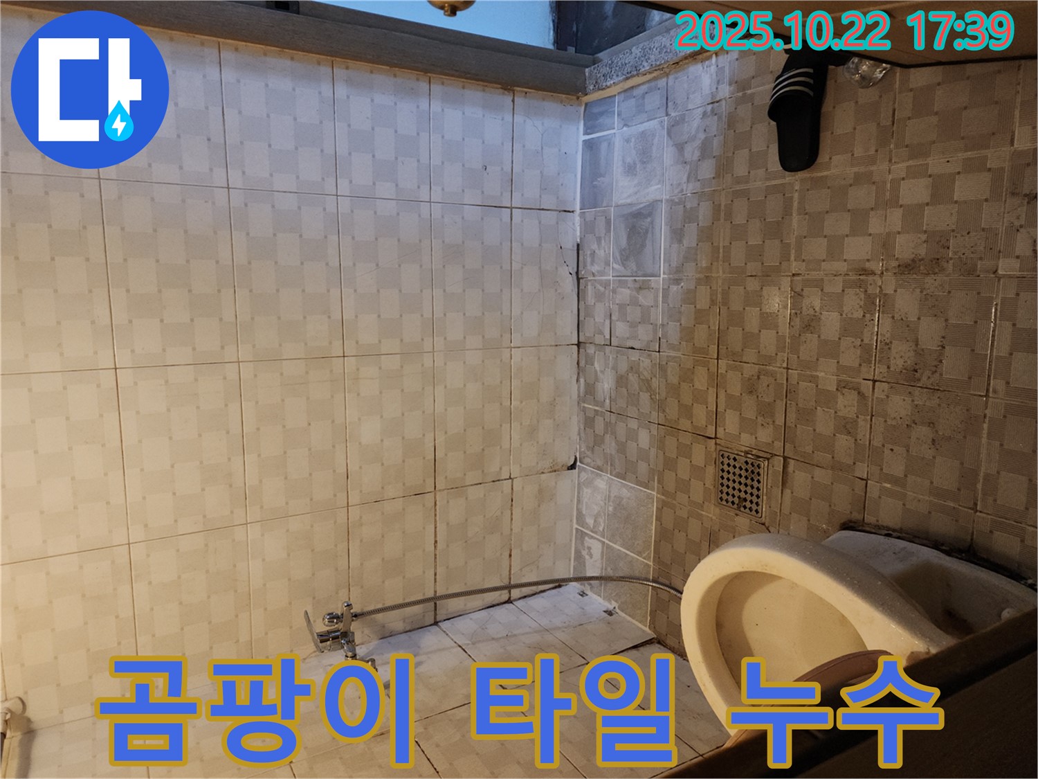 구로구 구로동 곰팡이 핀 욕실 타일 누수 해결 - 곰팡이와 함께 진행된 누수 문제를 해결했습니다.