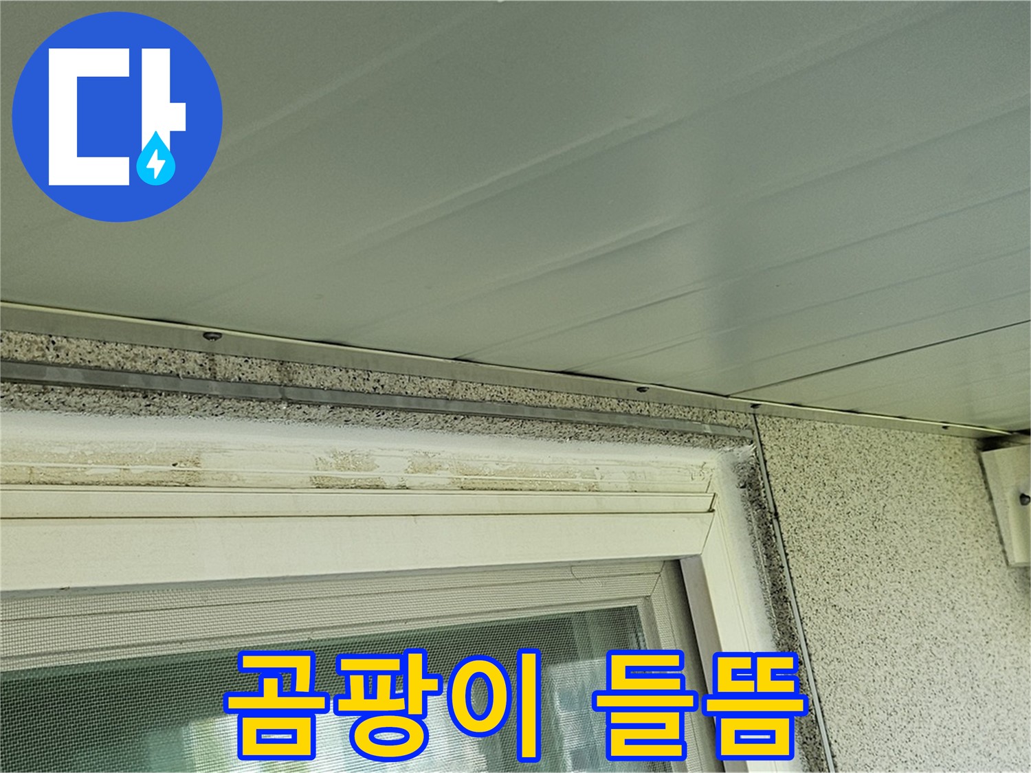 신월동 누수 점검 중 - 창틀 주변 곰팡이와 실리콘 들뜸 현상을 보여주는 사진입니다.