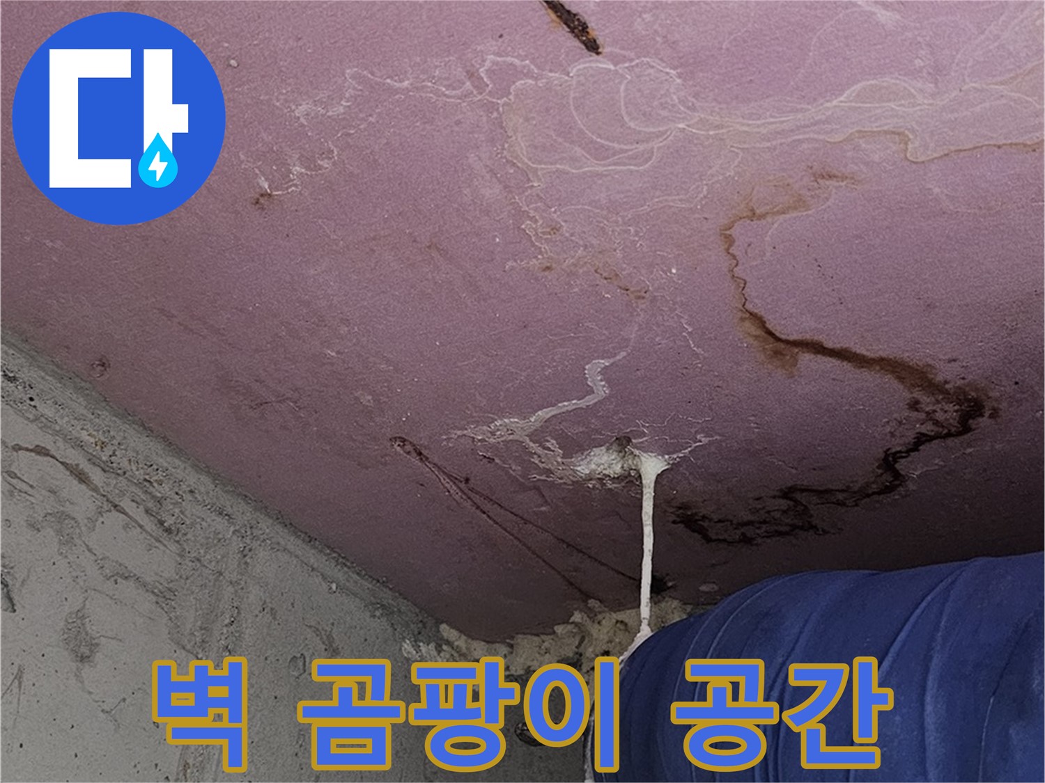 신월동 양천구 누수 - 벽 곰팡이 - 쾌적한 공간