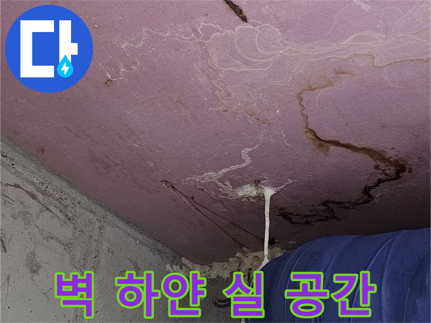 신월동 양천구 누수 - 벽 하얀 실 - 쾌적한 공간