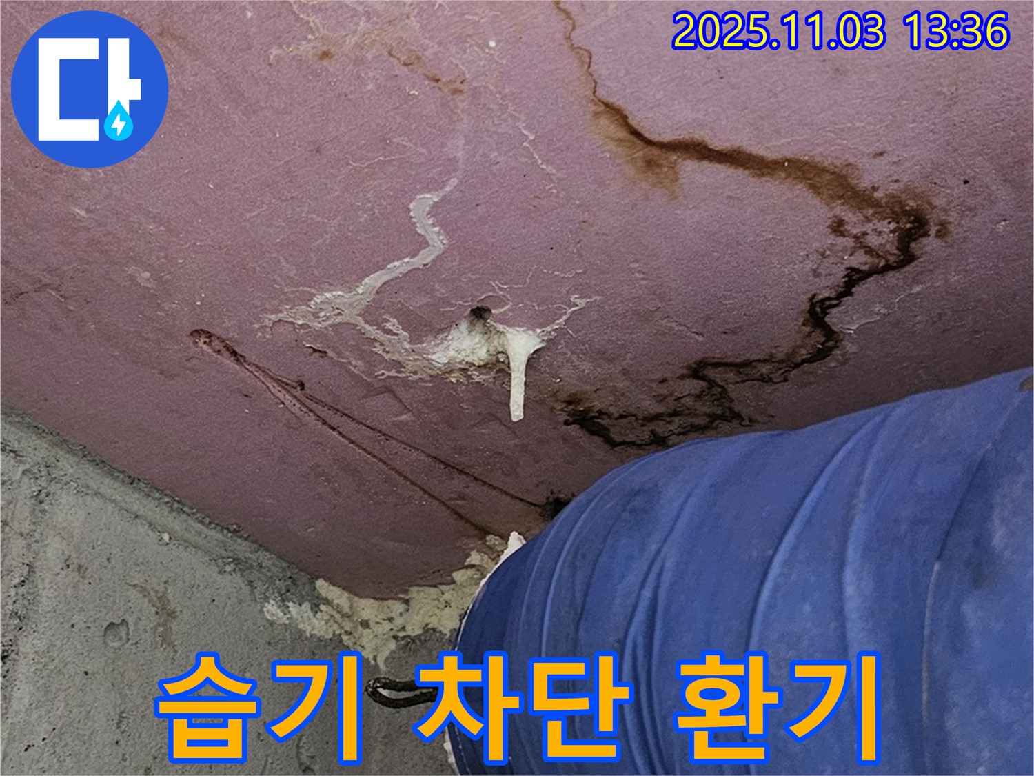 신월동 엘리시안 A동 누수 현장 - 습기 차단 및 환기 시스템 구축 완료, 쾌적한 실내 환경 조성