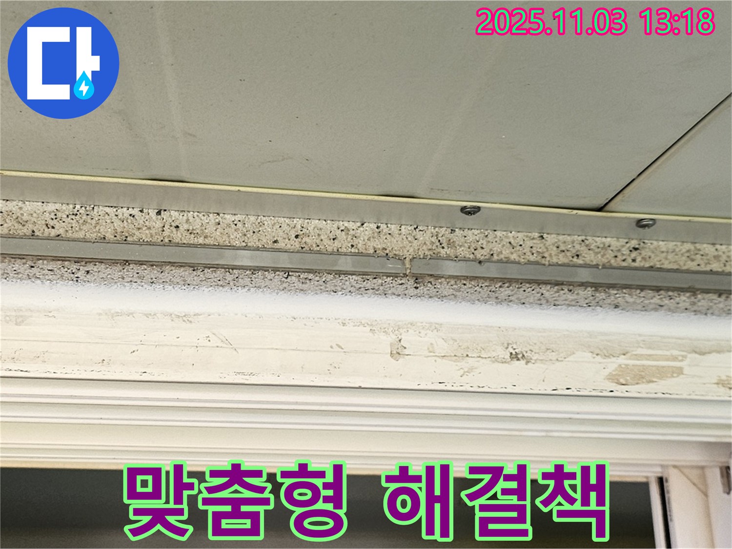 양천구 누수 클리닉 - 곰팡이 문제, 고객 맞춤형 해결책으로 완벽하게 해결해 드립니다.
