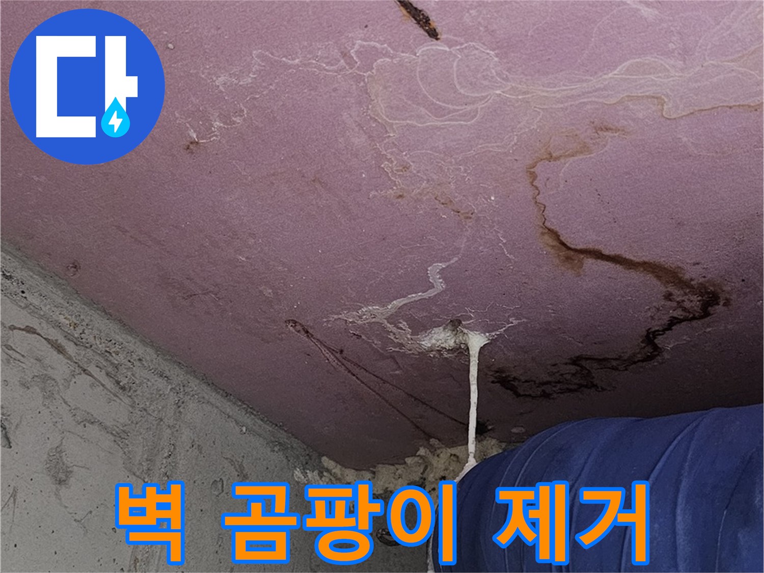 양천구 신월동 누수 - 벽 곰팡이 제거, 누수 해결
