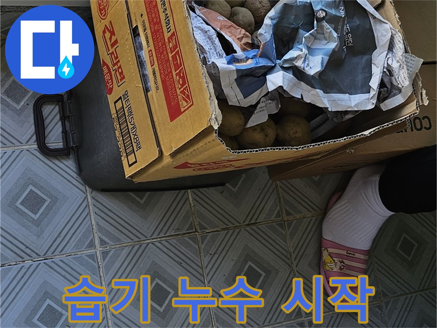 양천구 신월동 누수 현장, 감자 박스 주변 습기 - 누수의 시작을 알리는 신호일 수 있습니다.