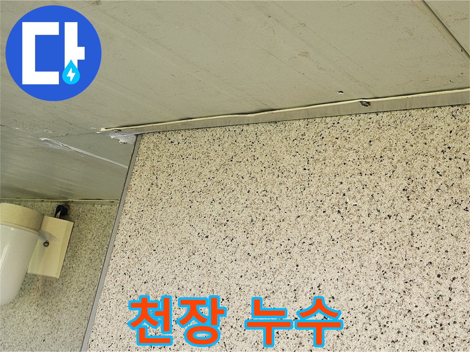 양천구 신월동 엘리시안 A동 천장 누수 - 누수탐지 전문 업체의 정확한 진단