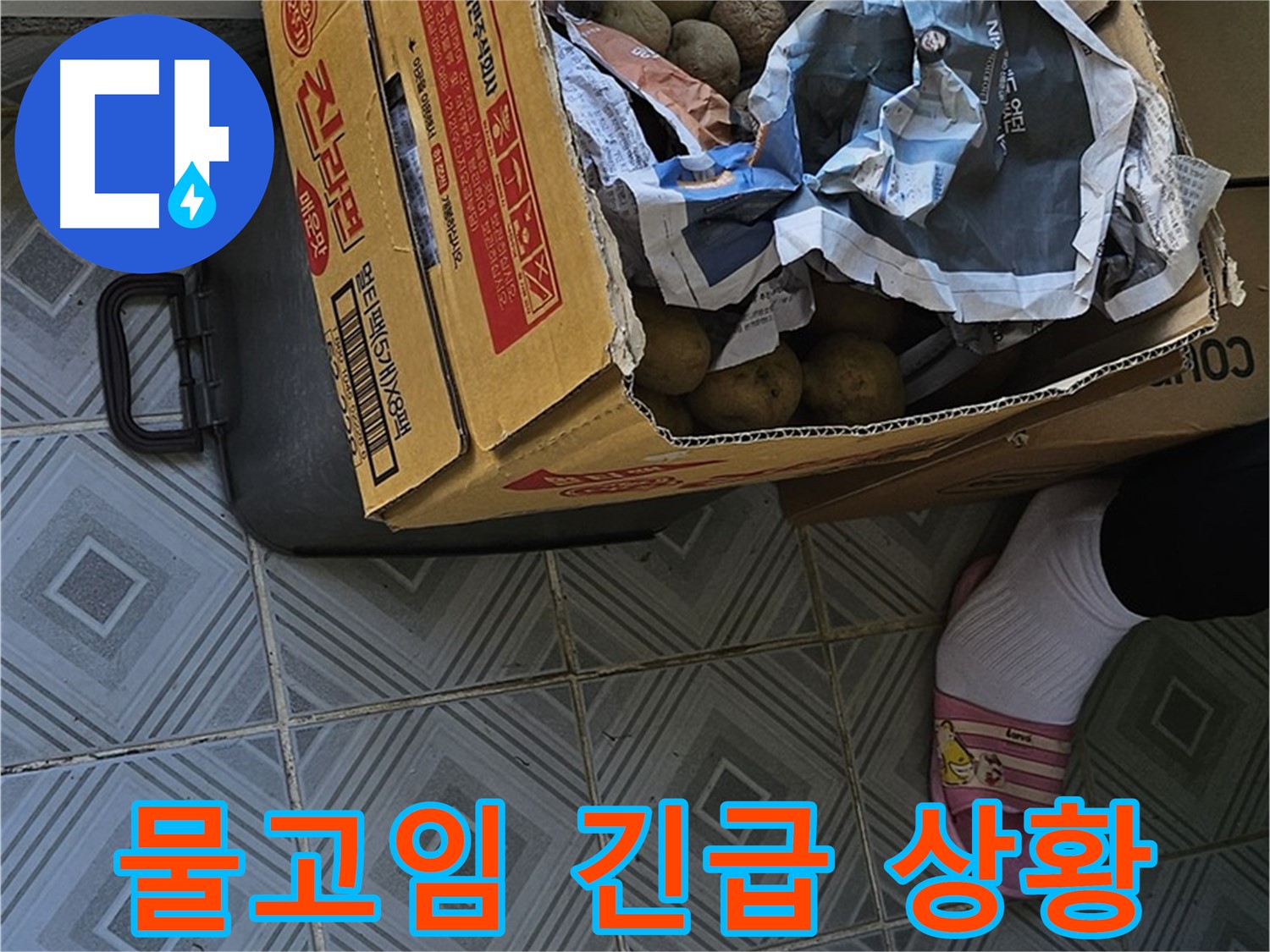 양천구 신월동 엘리시안 누수 현장 - 감자 박스 주변 물고임은 긴급 상황 발생을 의미합니다 - 즉시 문의하세요.