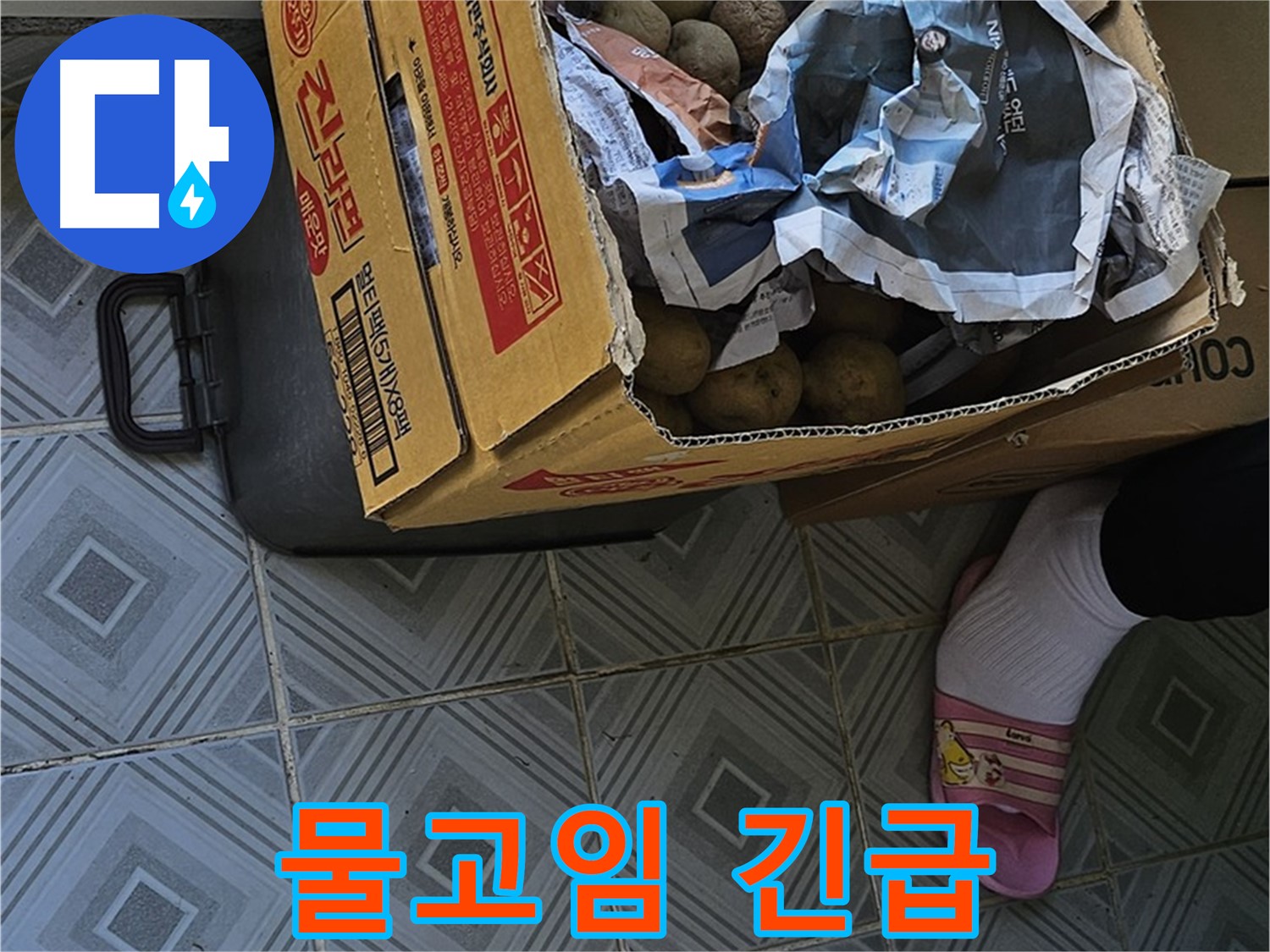 양천구 신월동 엘리시안 누수 현장 - 감자 박스 주변에 물이 고여 있다면 긴급하게 전문가를 불러야 합니다 - 즉시 문의하세요.