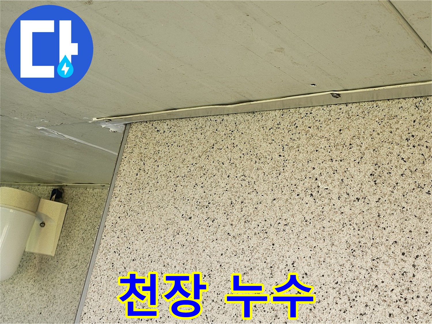양천구 신월동 엘리시안 아파트 천장 누수 - 누수 해결 전문 업체의 완벽한 시공