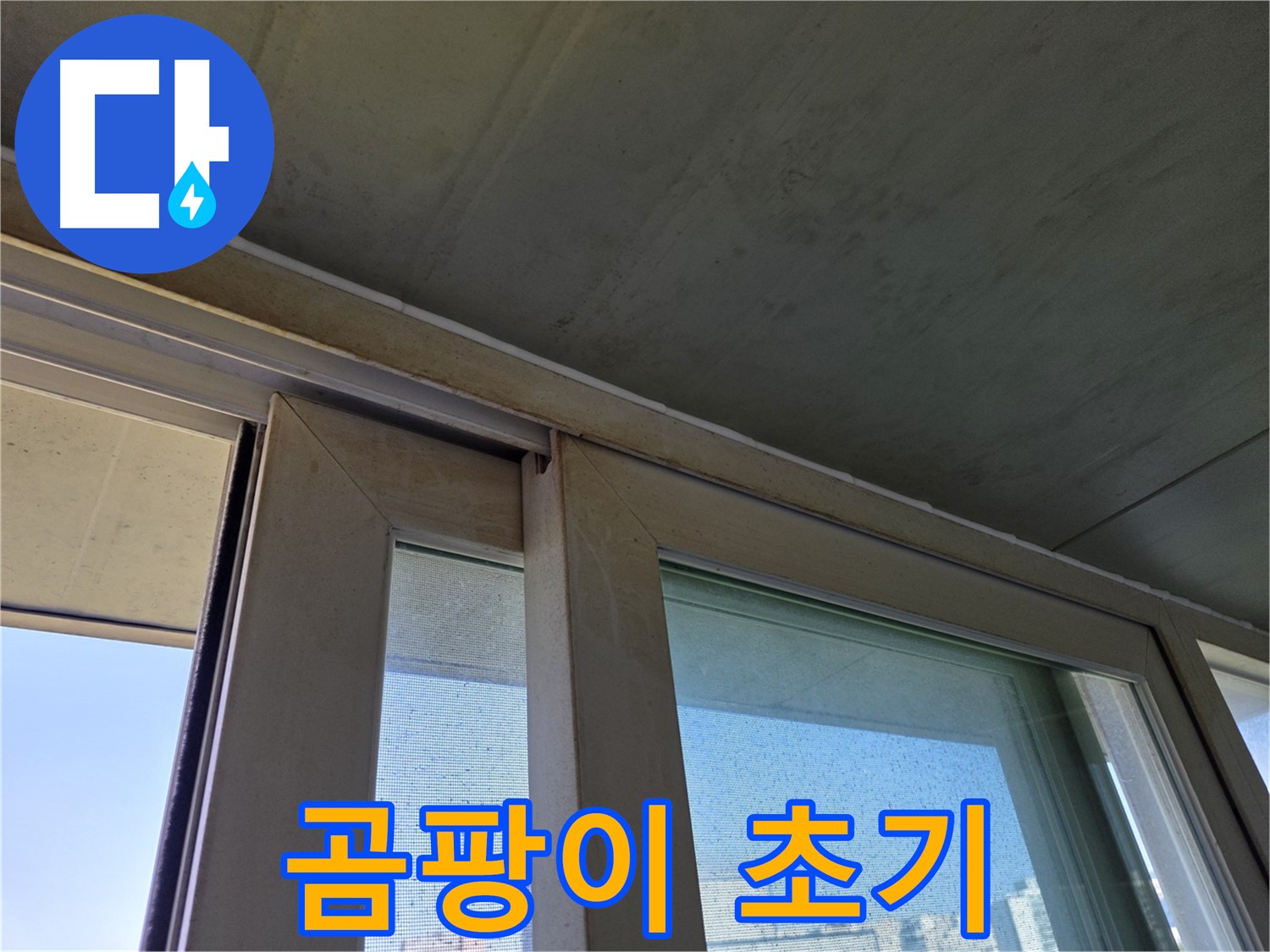 양천구 신월동 창틀 누수 - 곰팡이 초기 발생 - 빠른 조치 필요