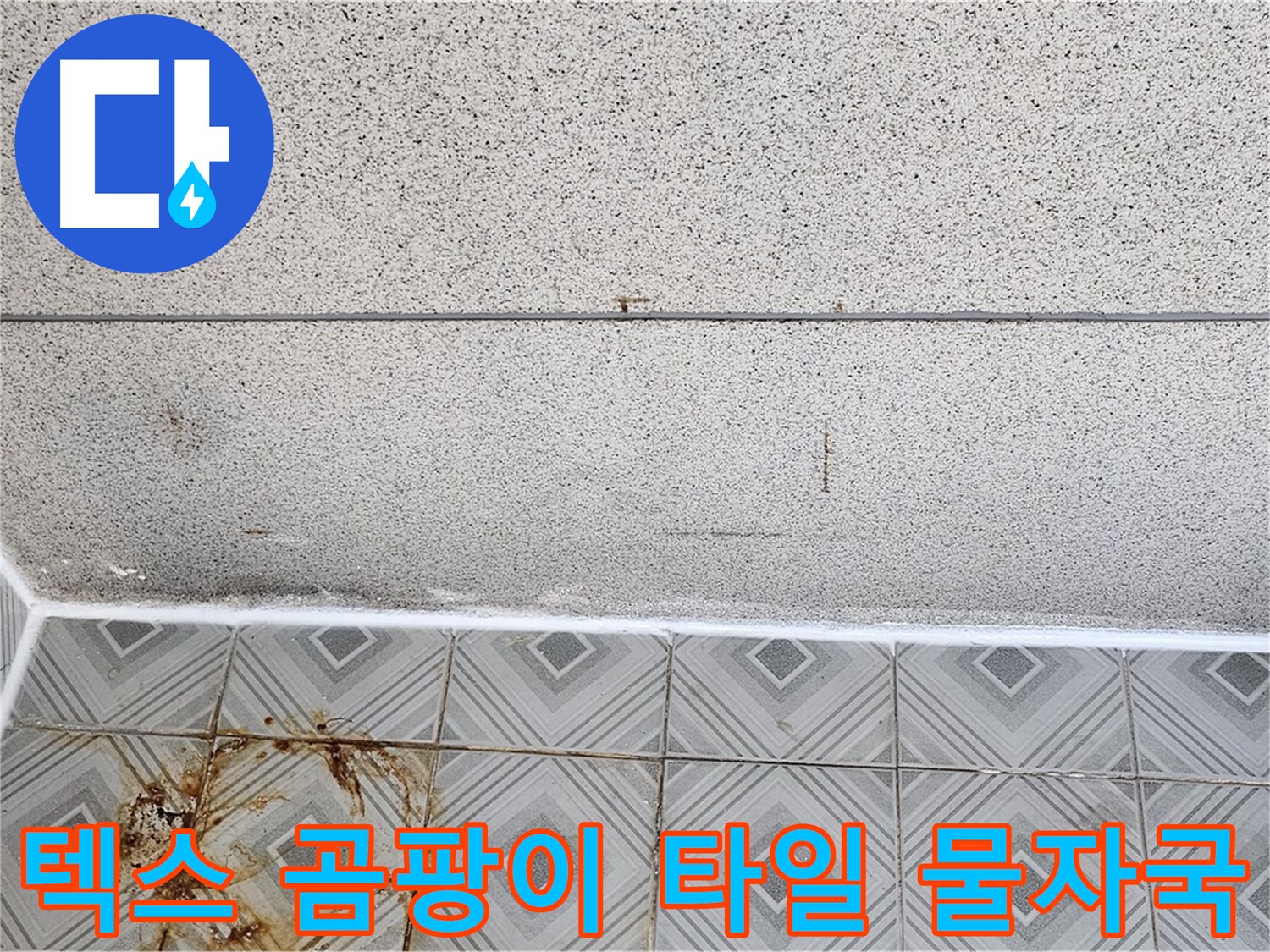 양천구 신월동 - 텍스 곰팡이 - 타일 물자국 - 긴급 누수 상황