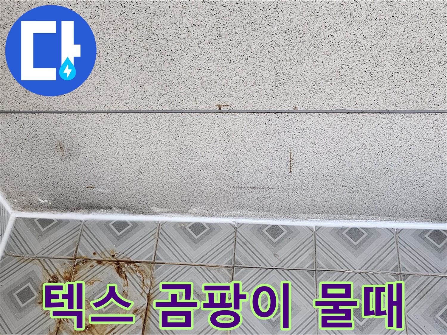 양천구 - 텍스 곰팡이 - 타일 물때 - 쾌적함 파괴